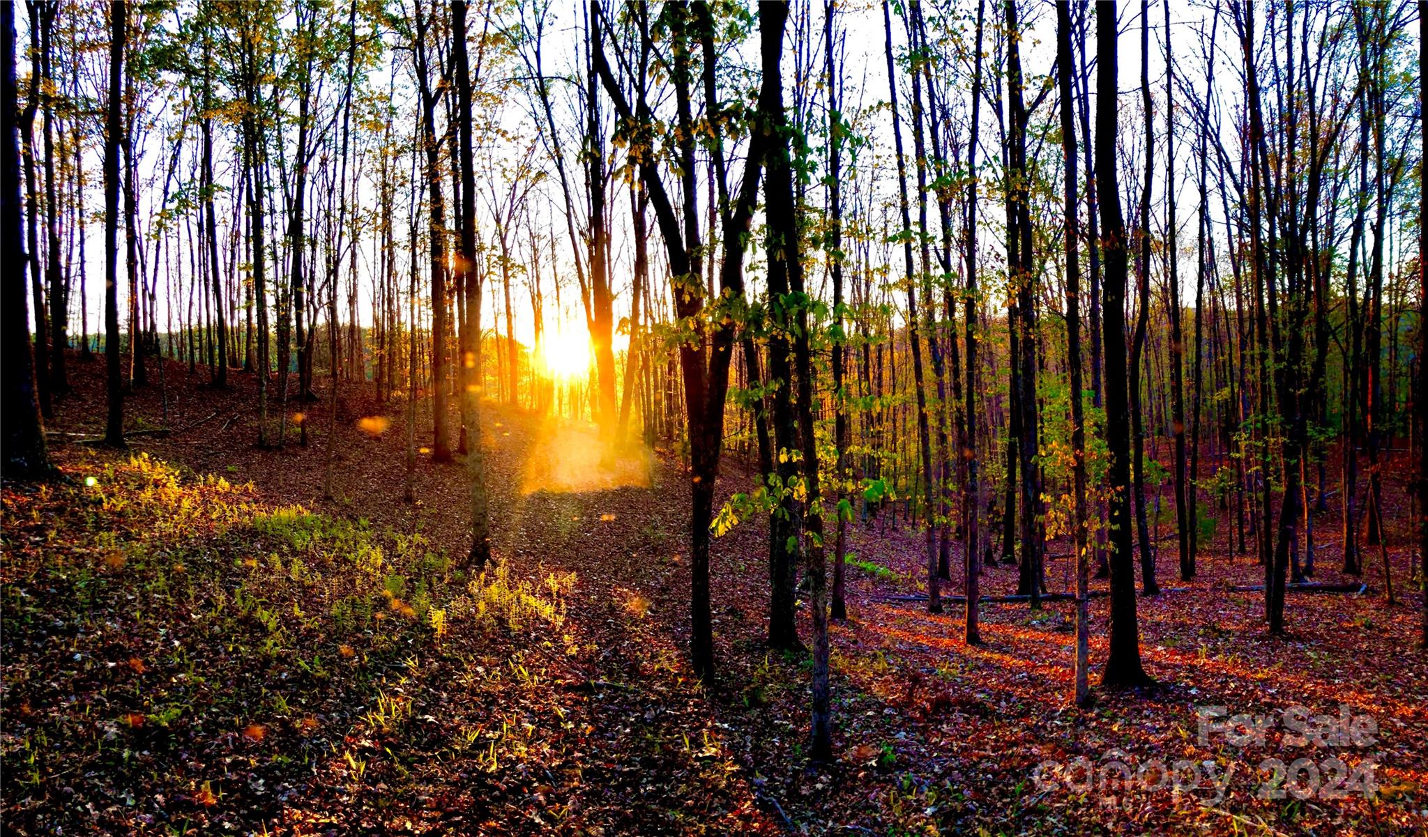 151 Wild Turkey Loop 29 Property Photo 4