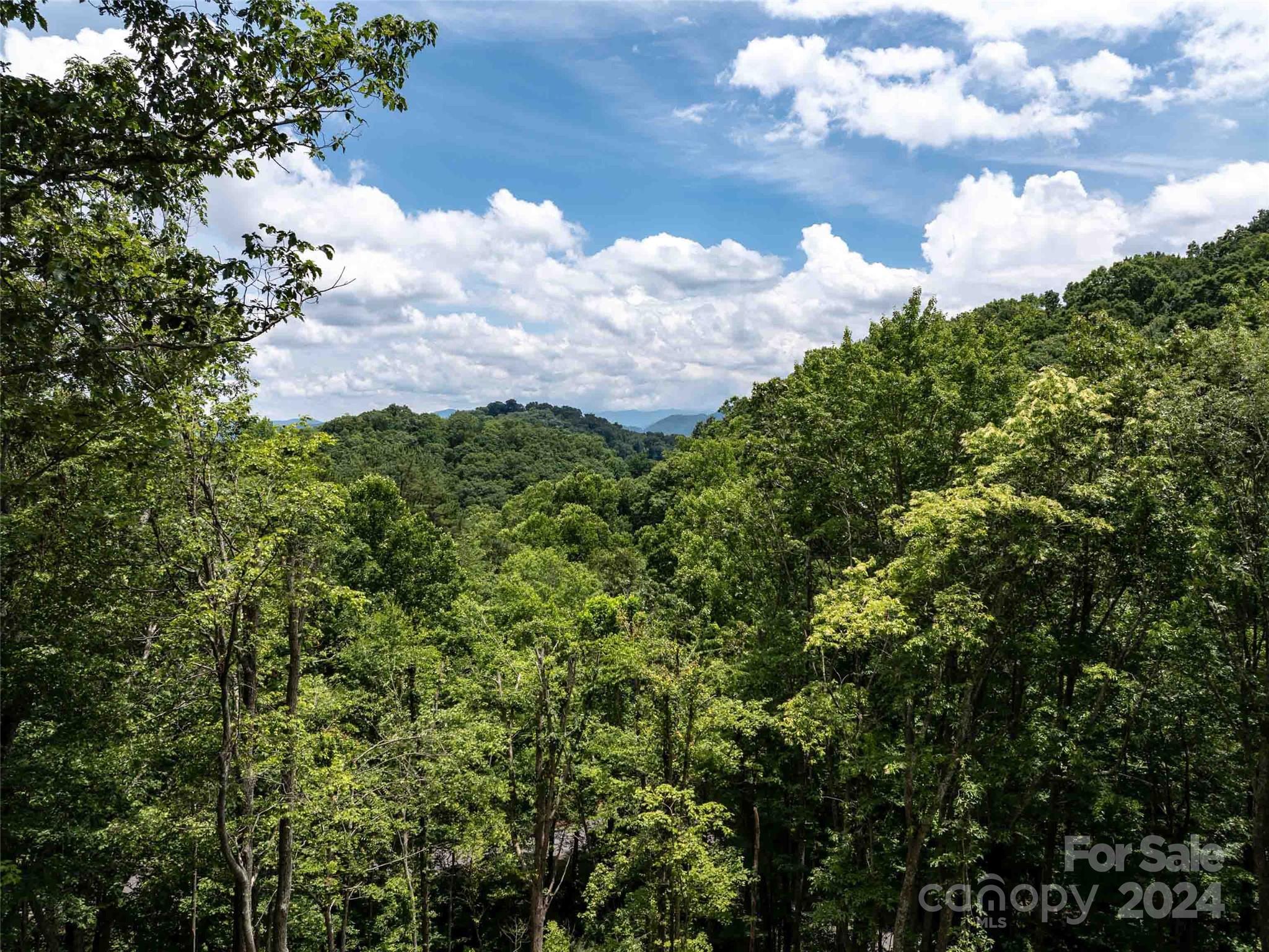 #32 Tapestry Trail Property Photo 4