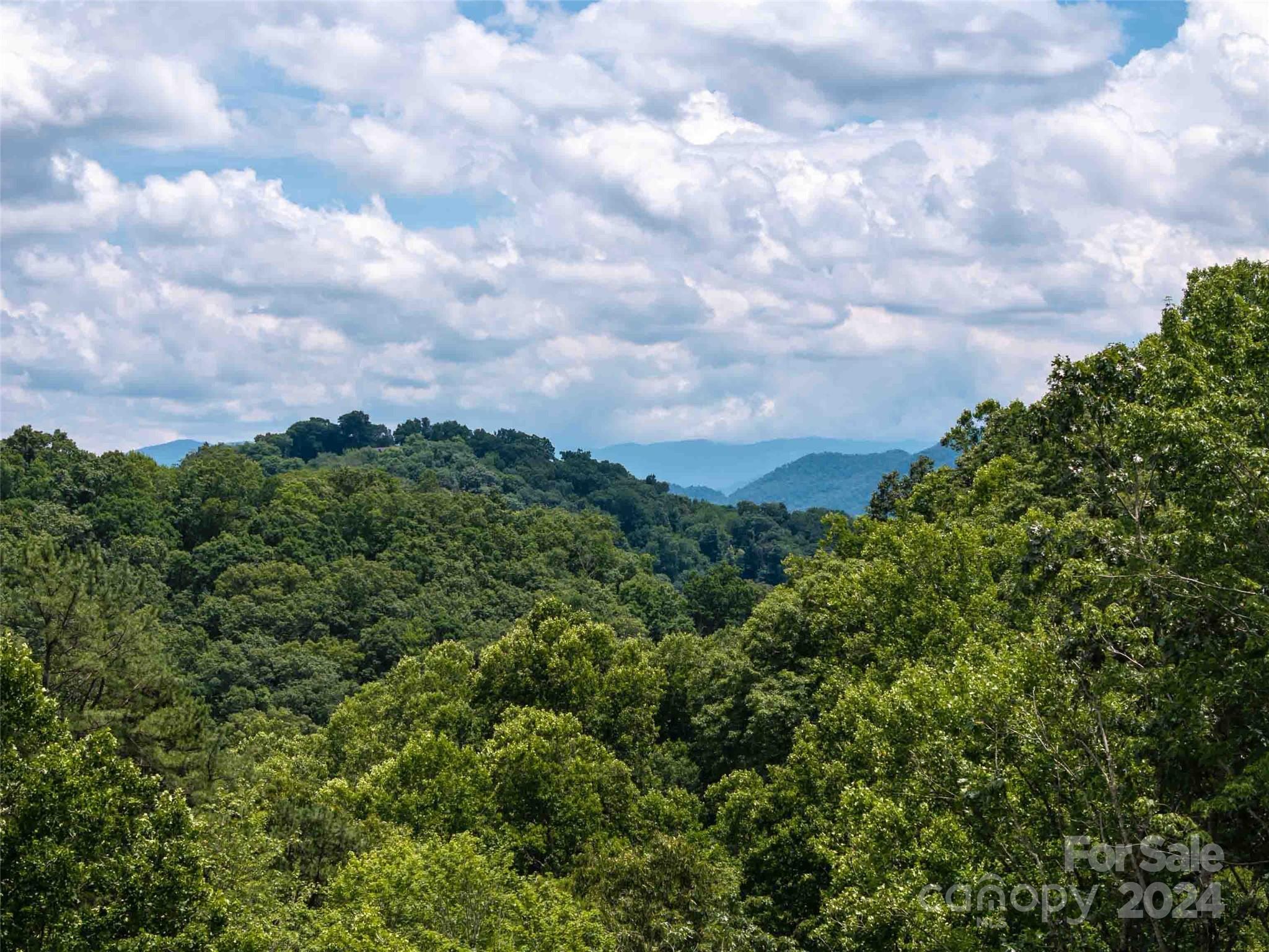 #32 Tapestry Trail Property Photo 5