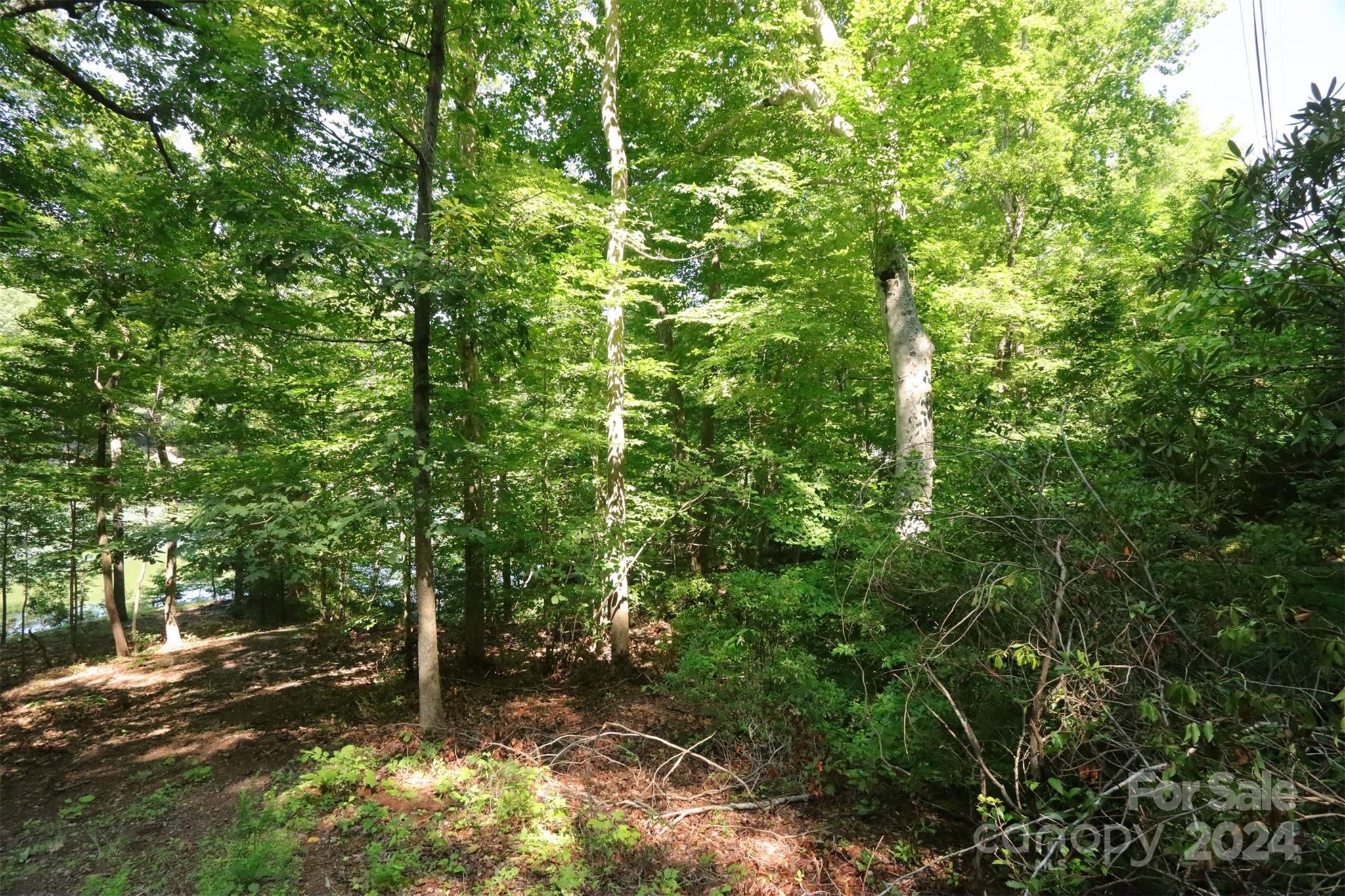 1733 Buffalo Creek Road Property Photo 4