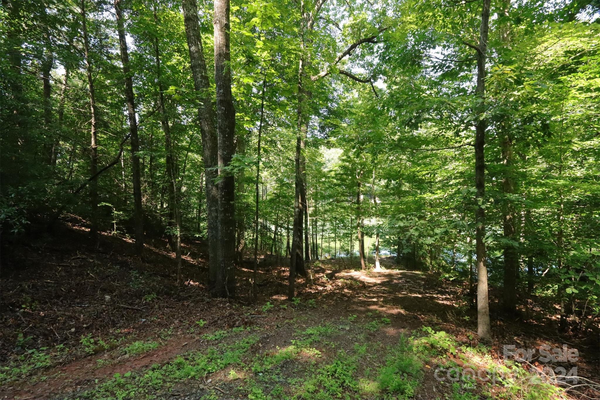 1733 Buffalo Creek Road Property Photo 5