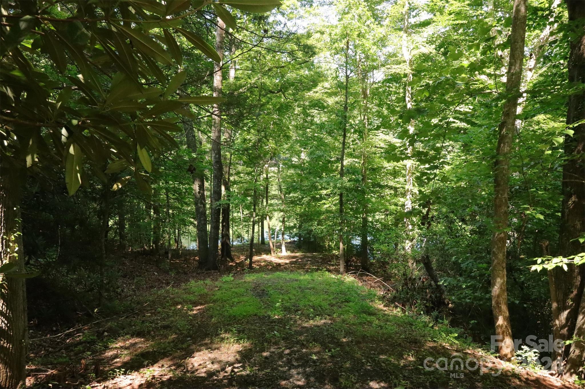 1733 Buffalo Creek Road Property Photo 6