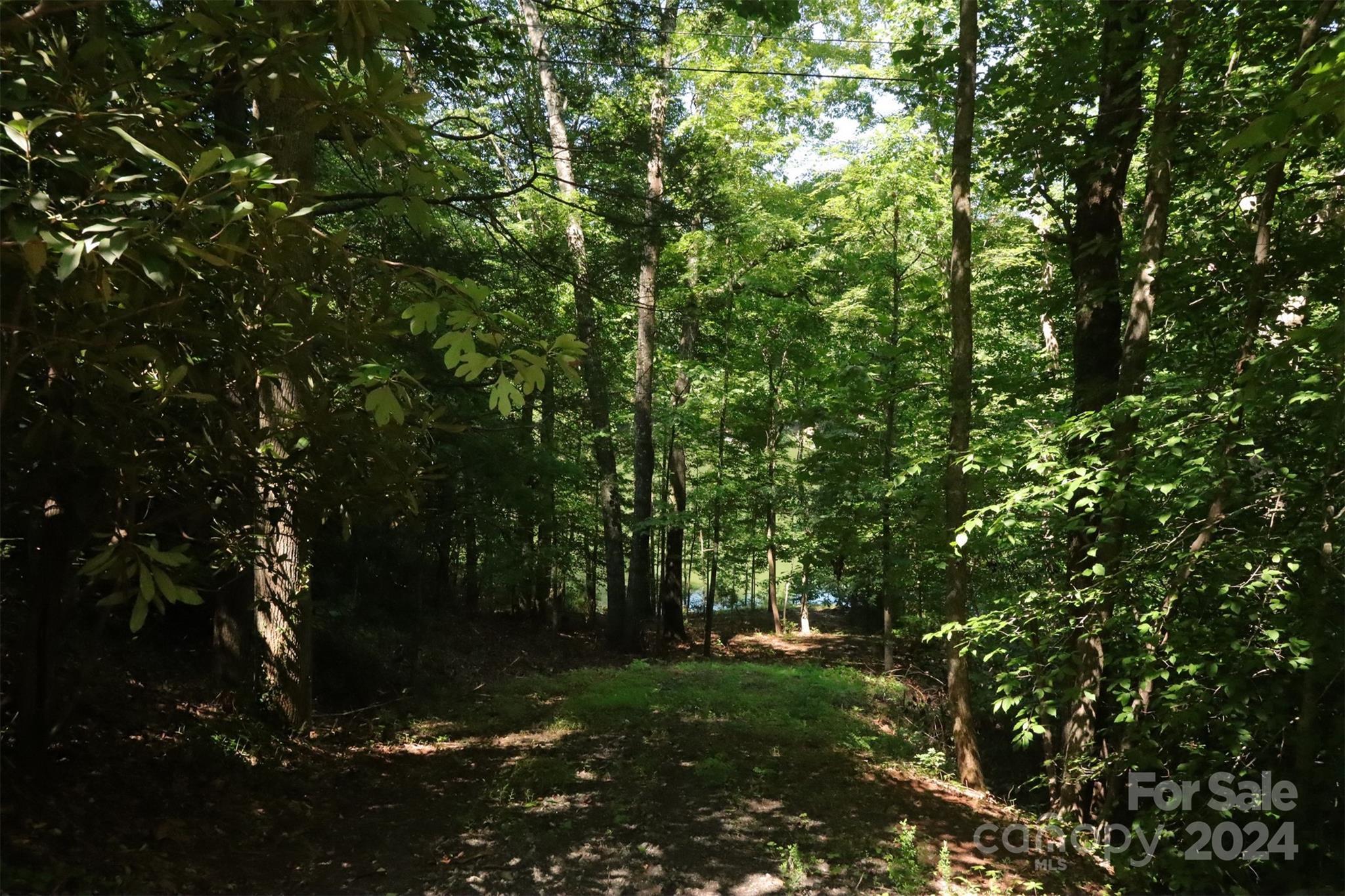 1733 Buffalo Creek Road Property Photo 7