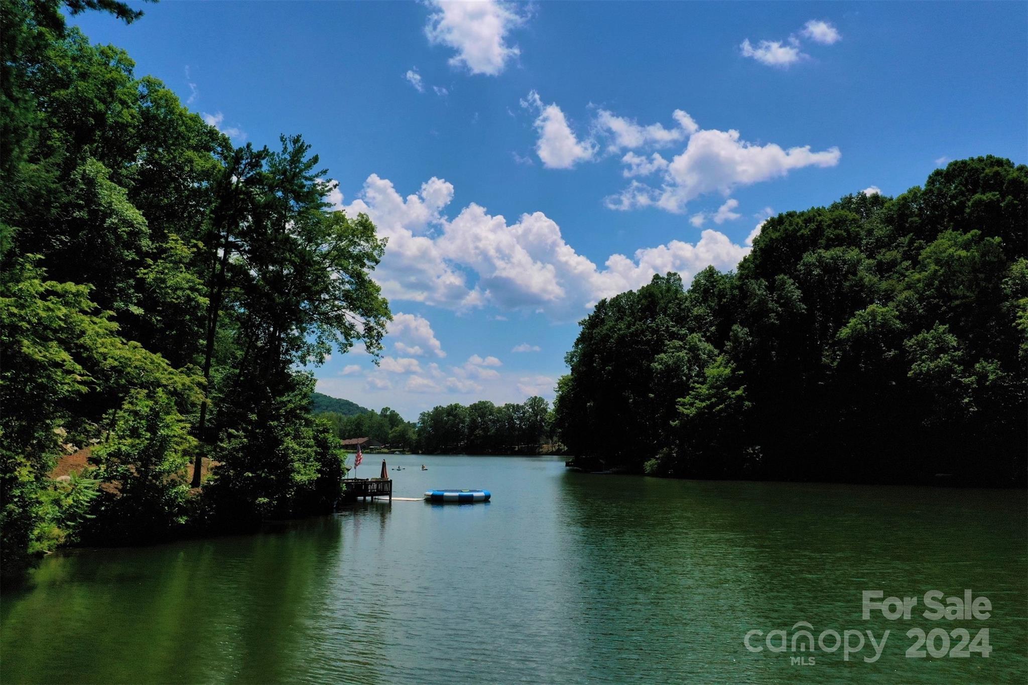 1733 Buffalo Creek Road Property Photo 8