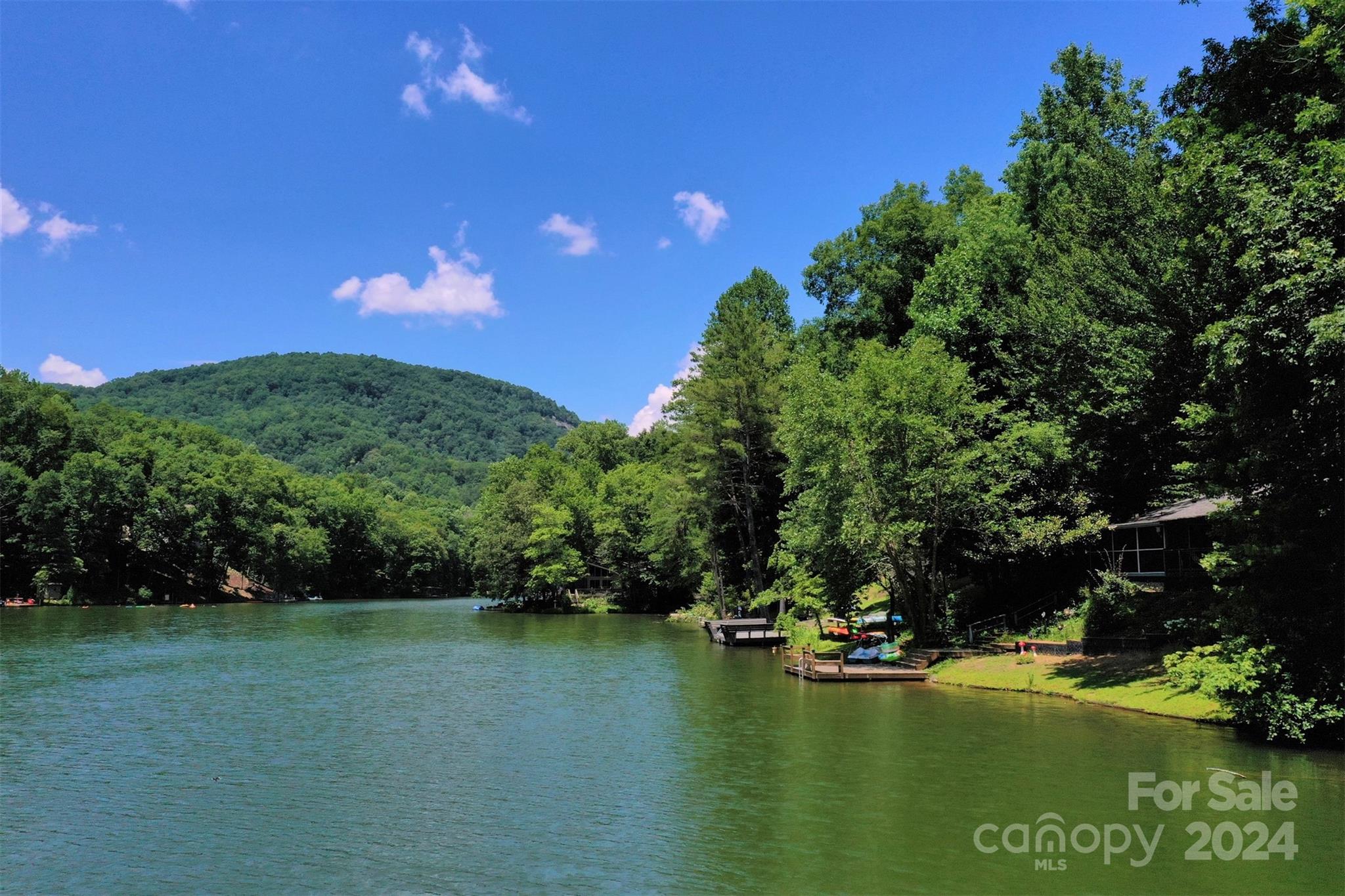 1733 Buffalo Creek Road Property Photo 9