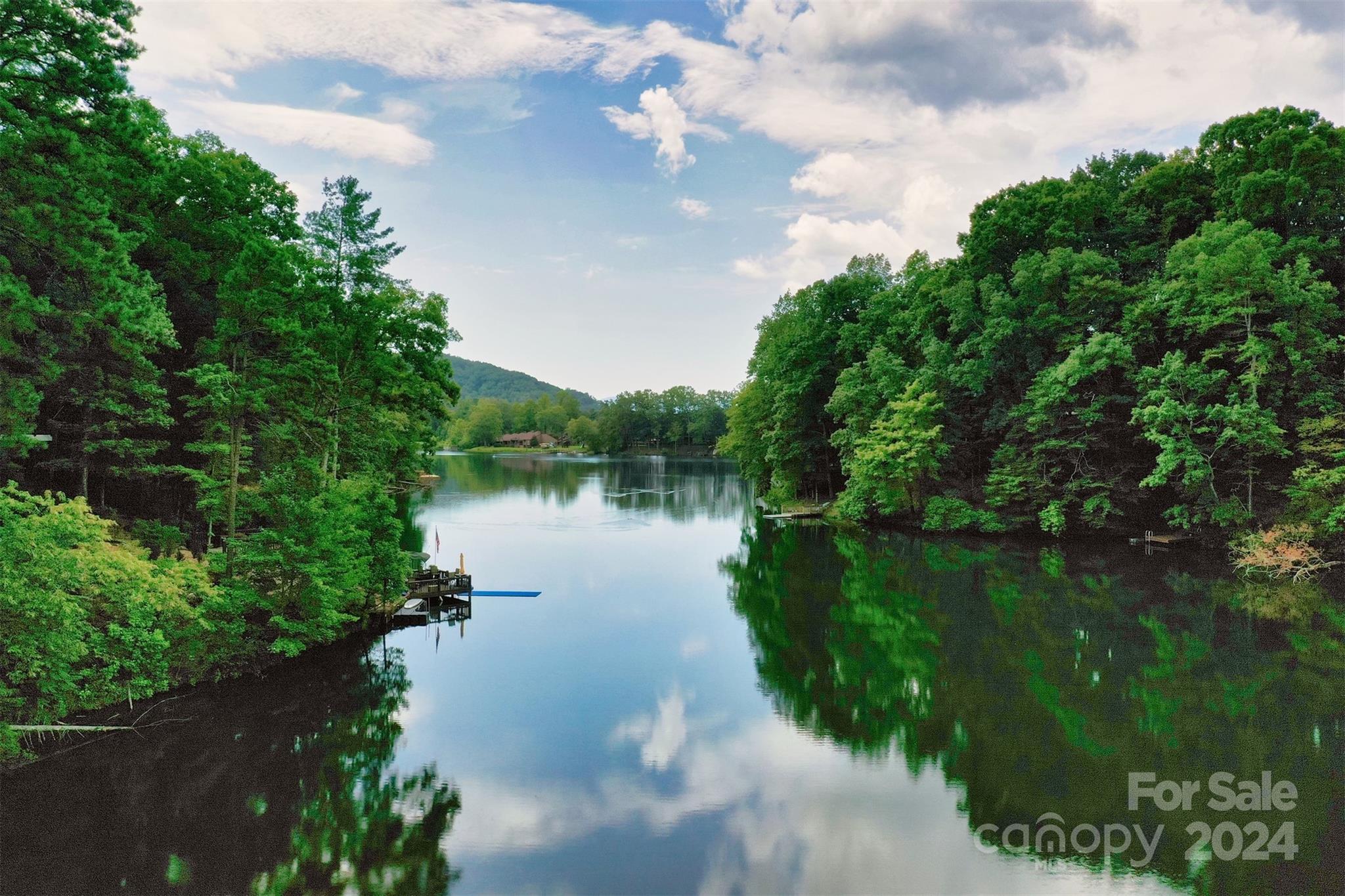 1733 Buffalo Creek Road Property Photo 14