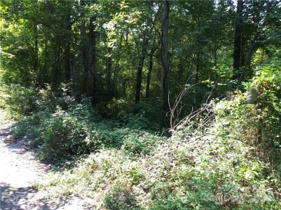 0 Falling Brook Lane 113,114,115,116,117,118 Property Photo 1