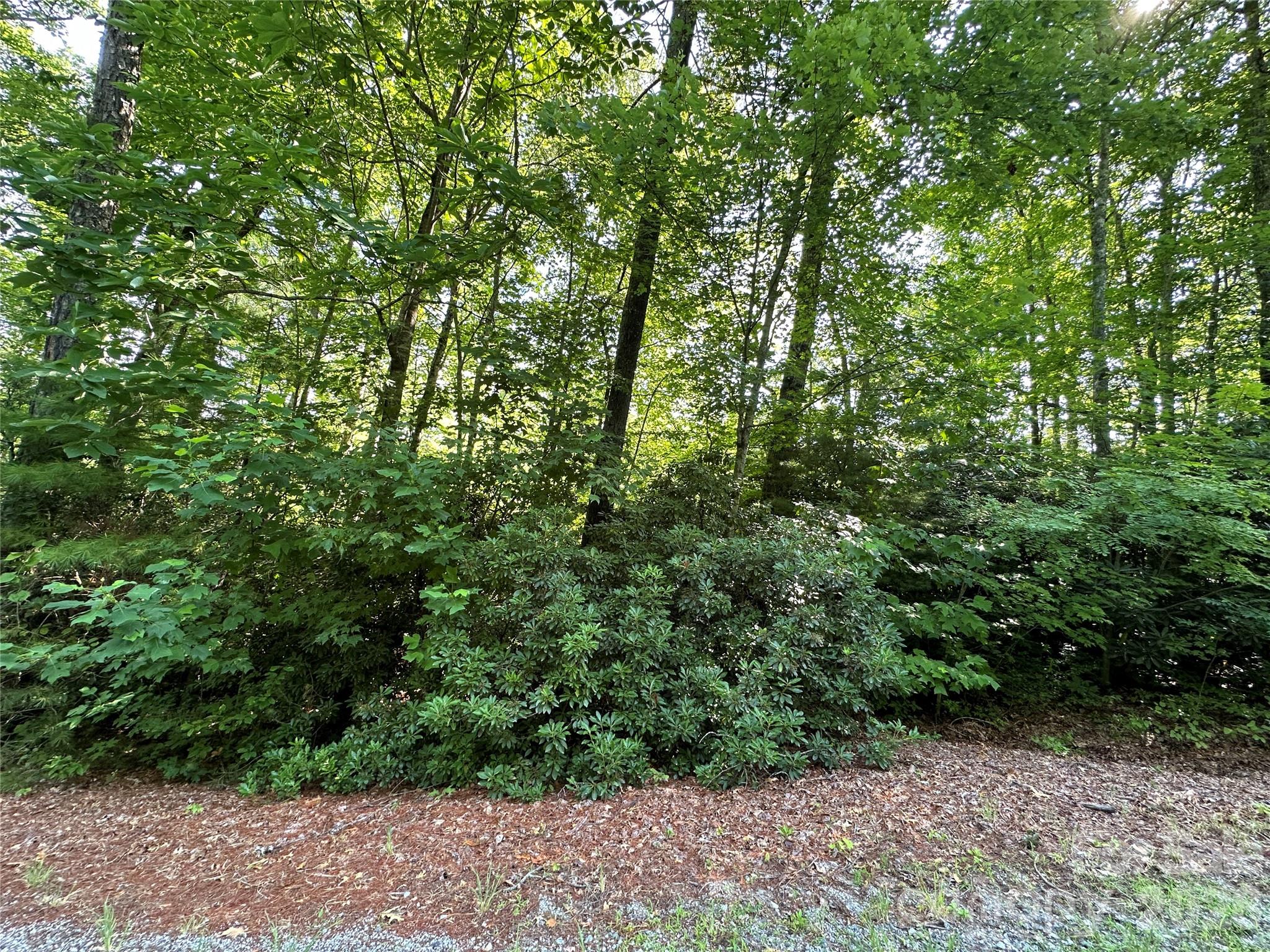 67 Peppervine Circle Property Photo 9