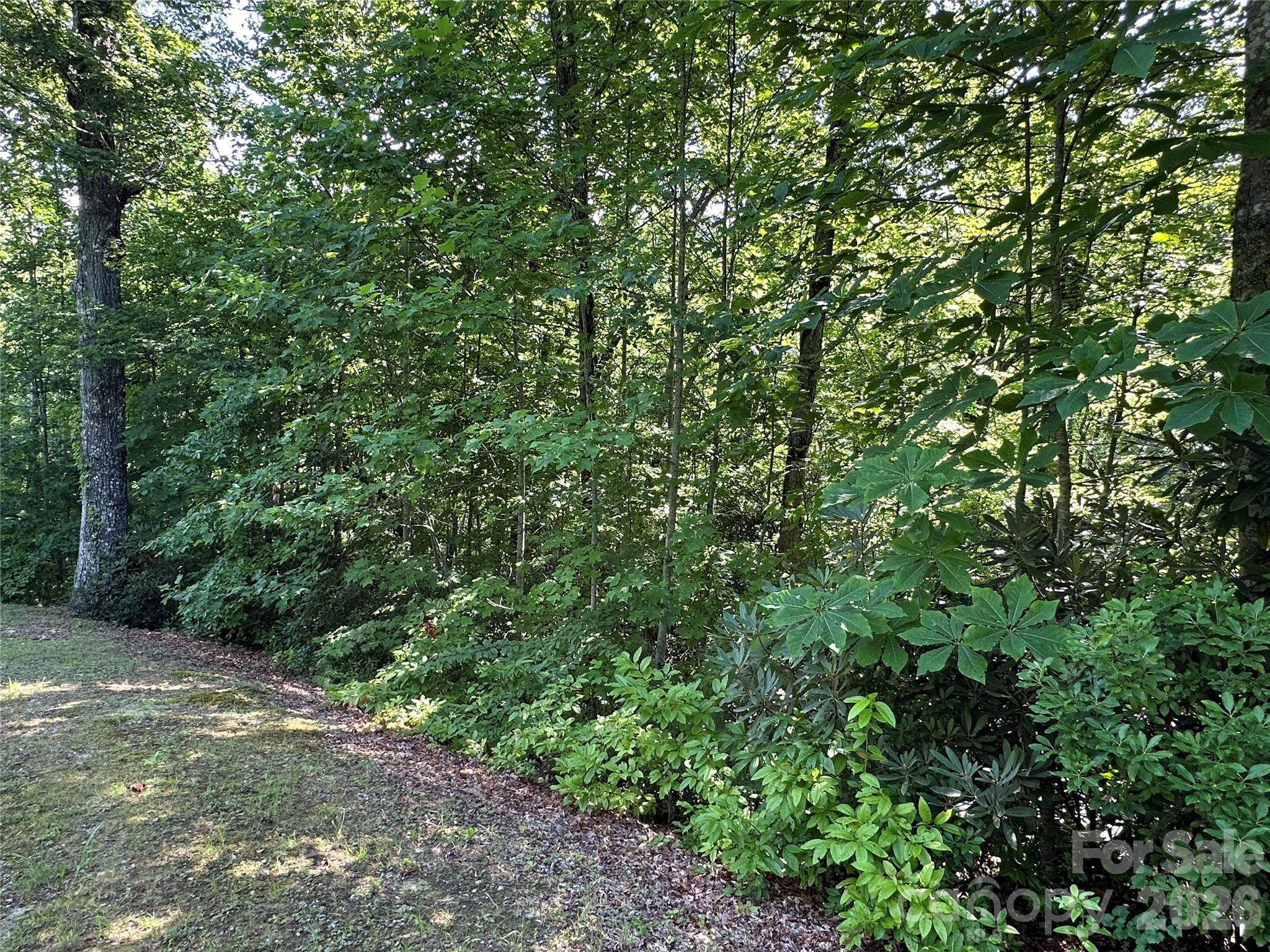 67 Peppervine Circle Property Photo 21