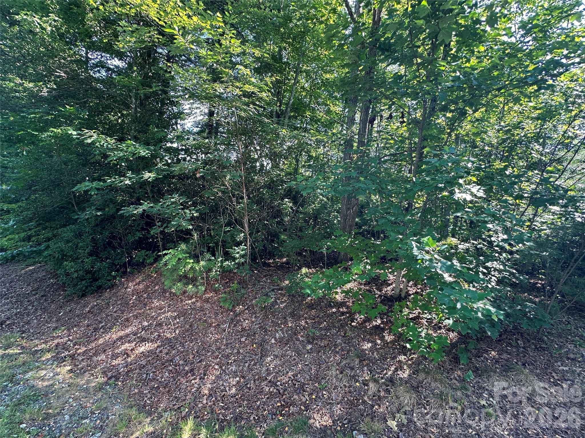 67 Peppervine Circle Property Photo 29