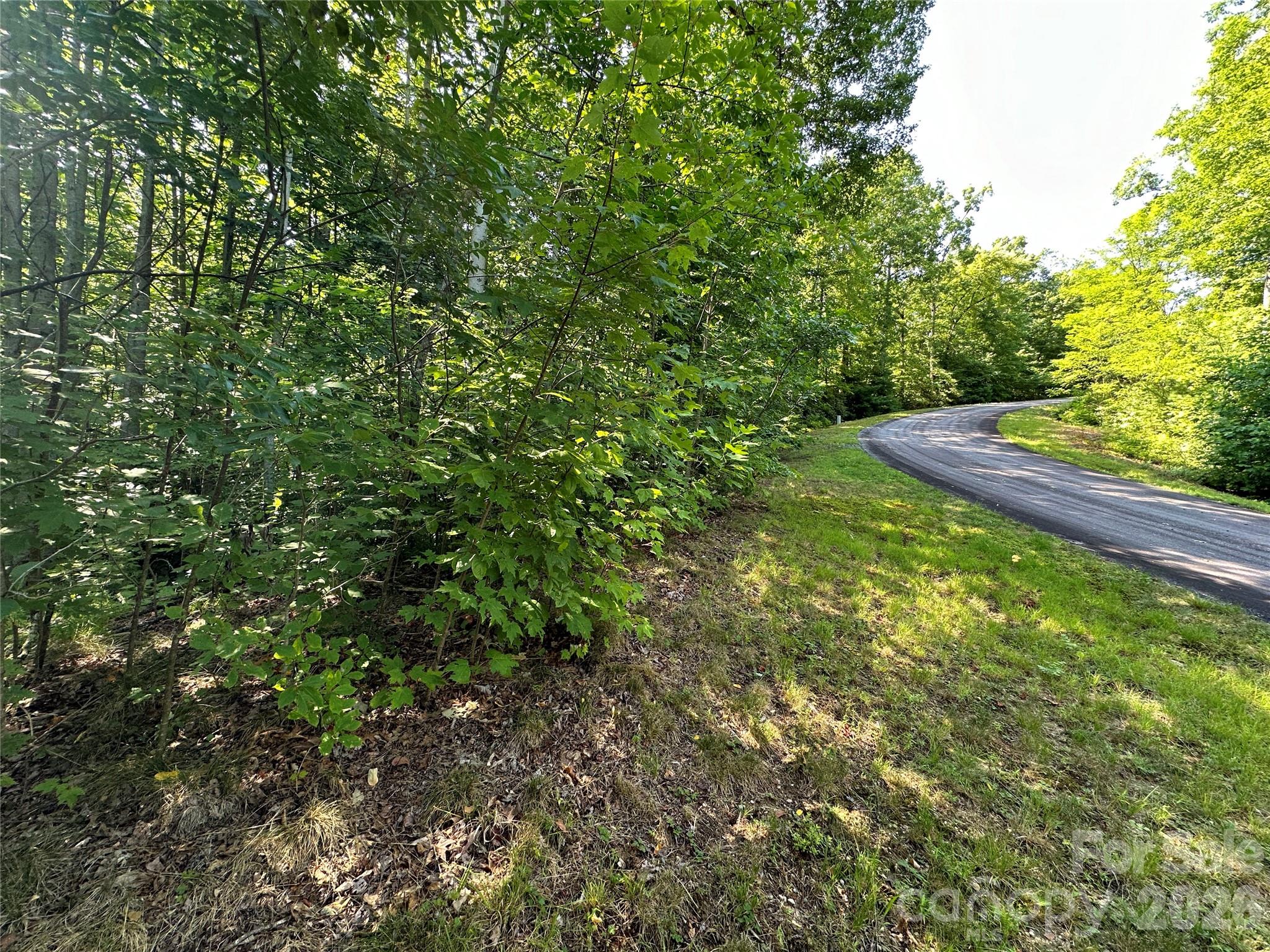 67 Peppervine Circle Property Photo 32