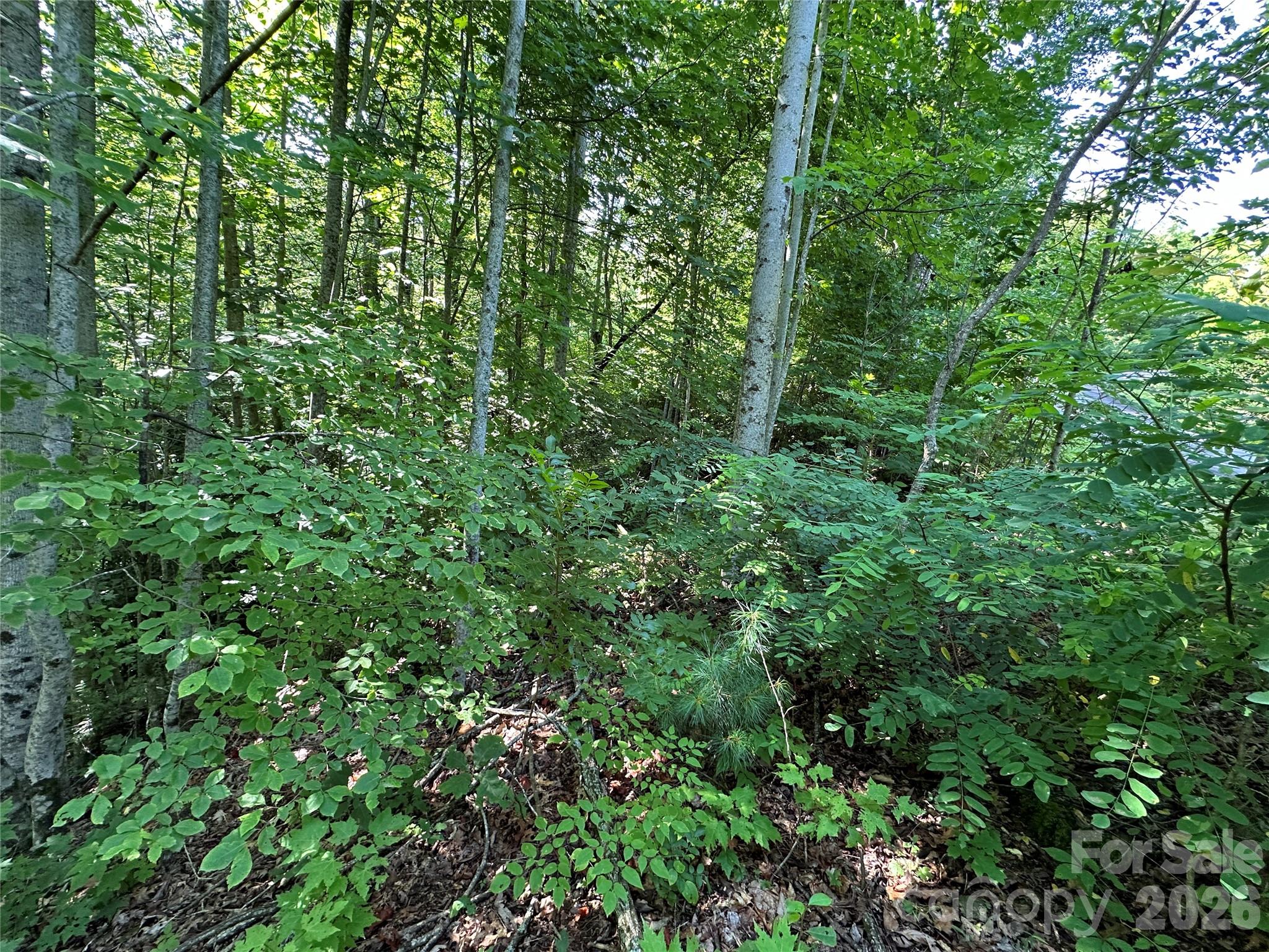 67 Peppervine Circle Property Photo 33