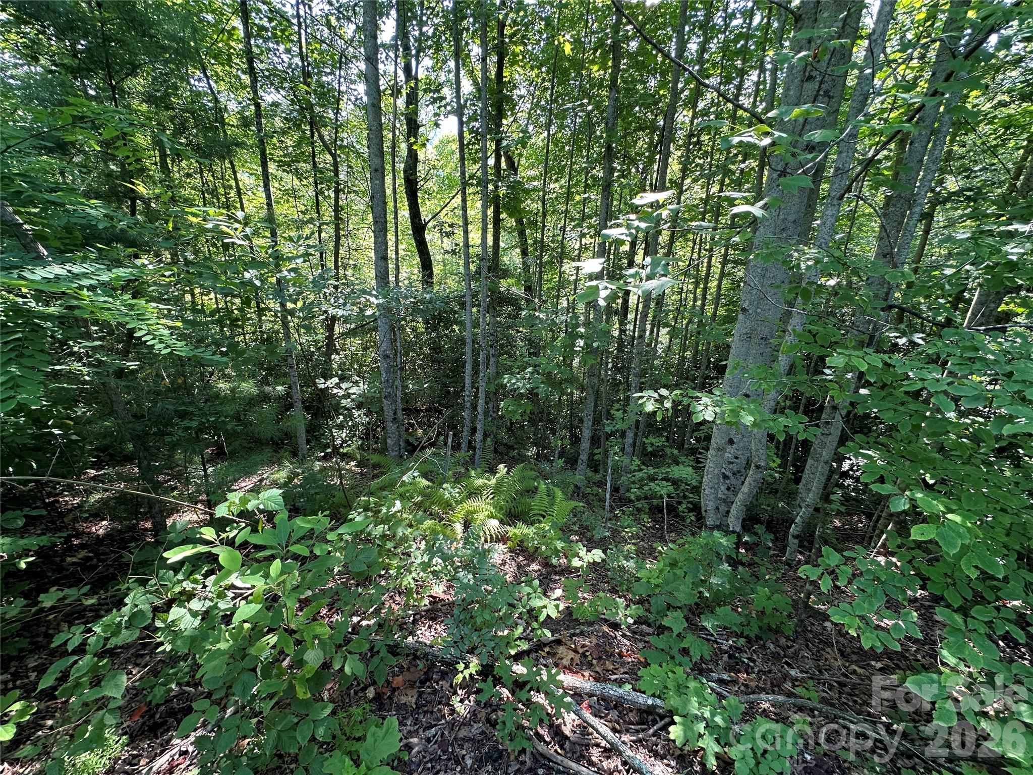 67 Peppervine Circle Property Photo 34