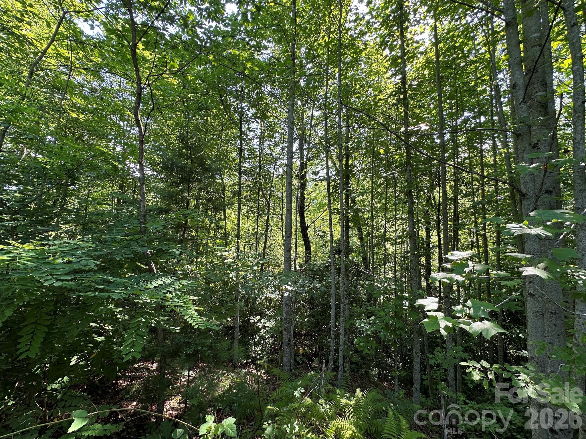 67 Peppervine Circle Property Photo 35
