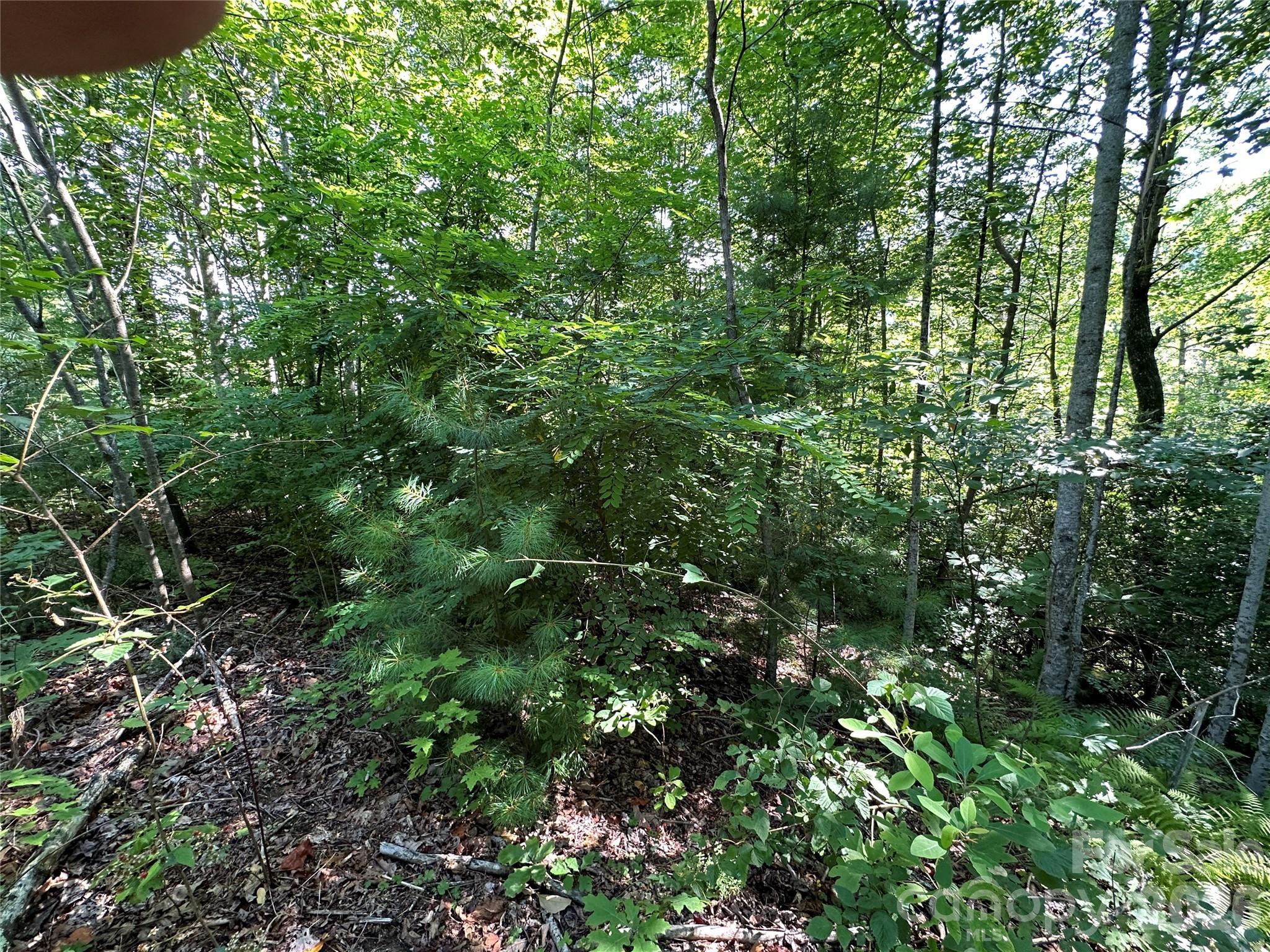 67 Peppervine Circle Property Photo 36