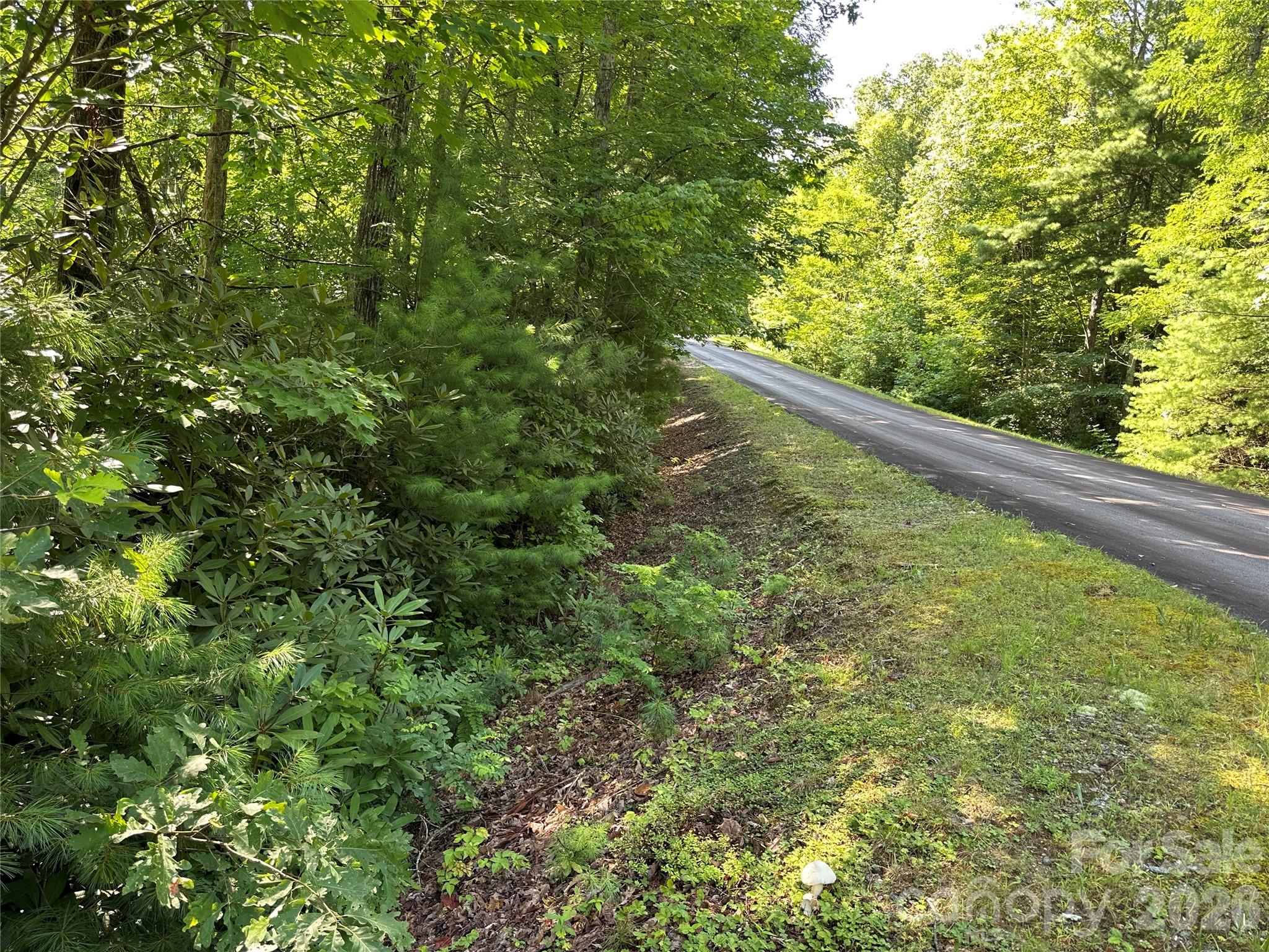 67 Peppervine Circle Property Photo 44