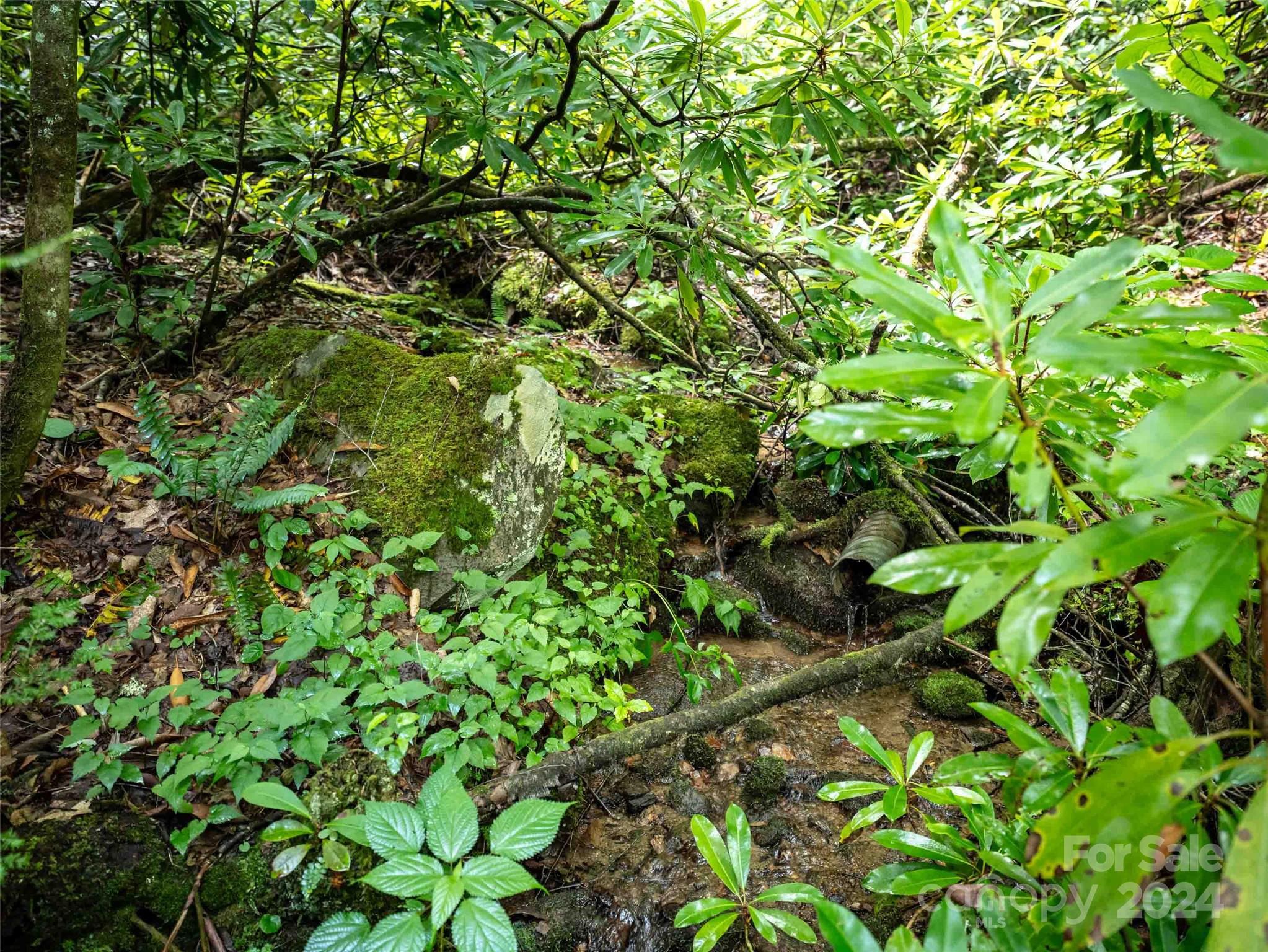 00 Waterwheel Cove Property Photo 6