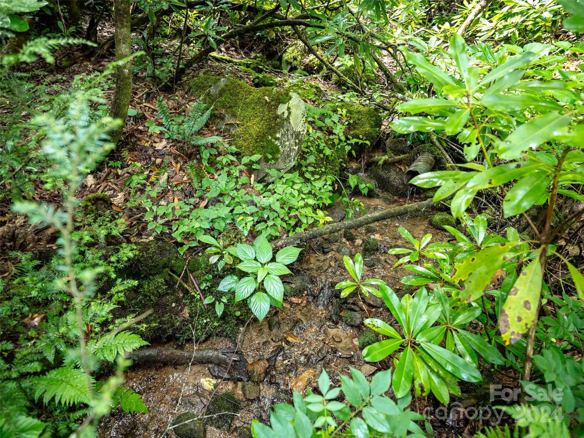 00 Waterwheel Cove Property Photo 7