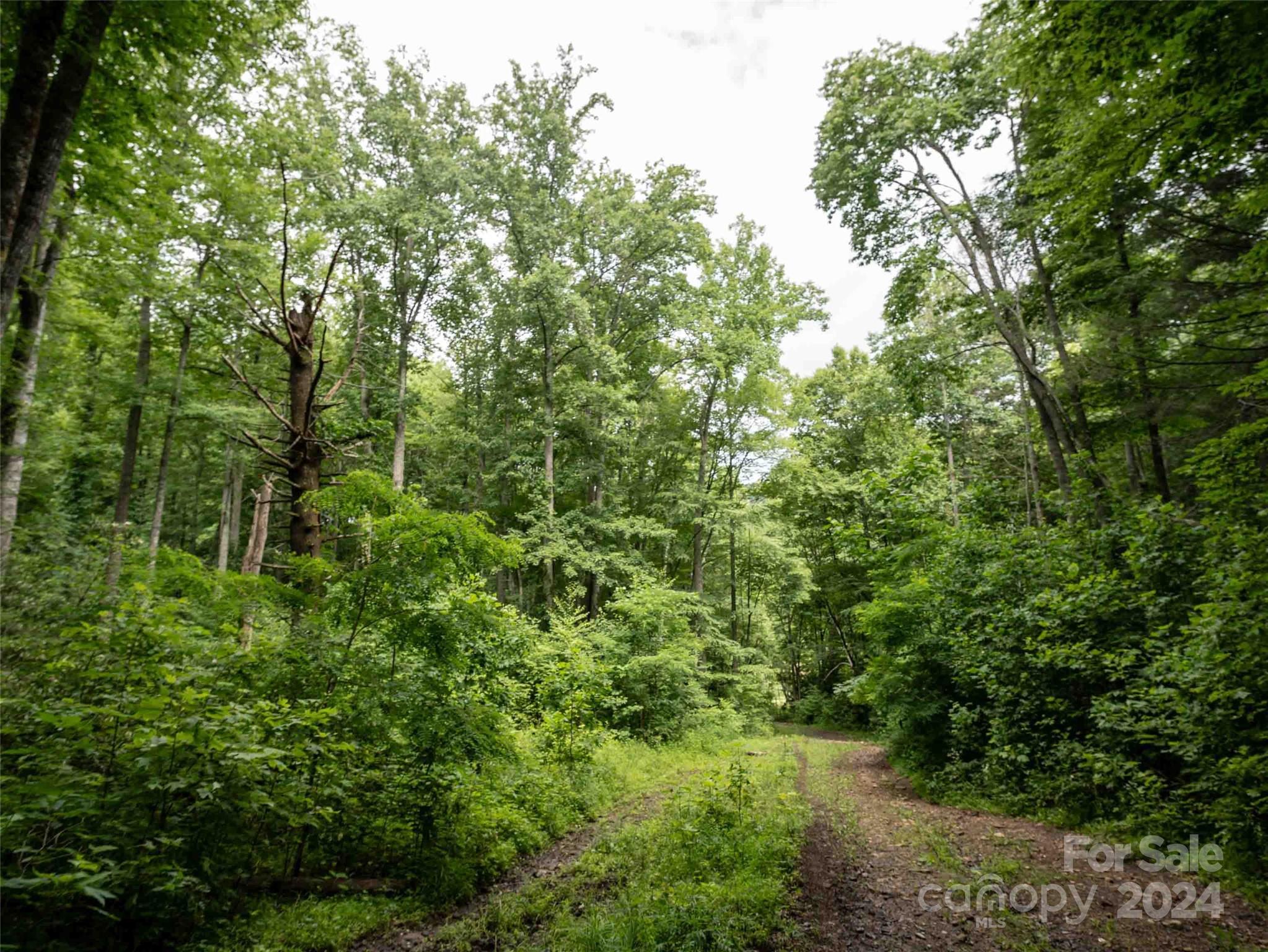 00 Waterwheel Cove Property Photo 8