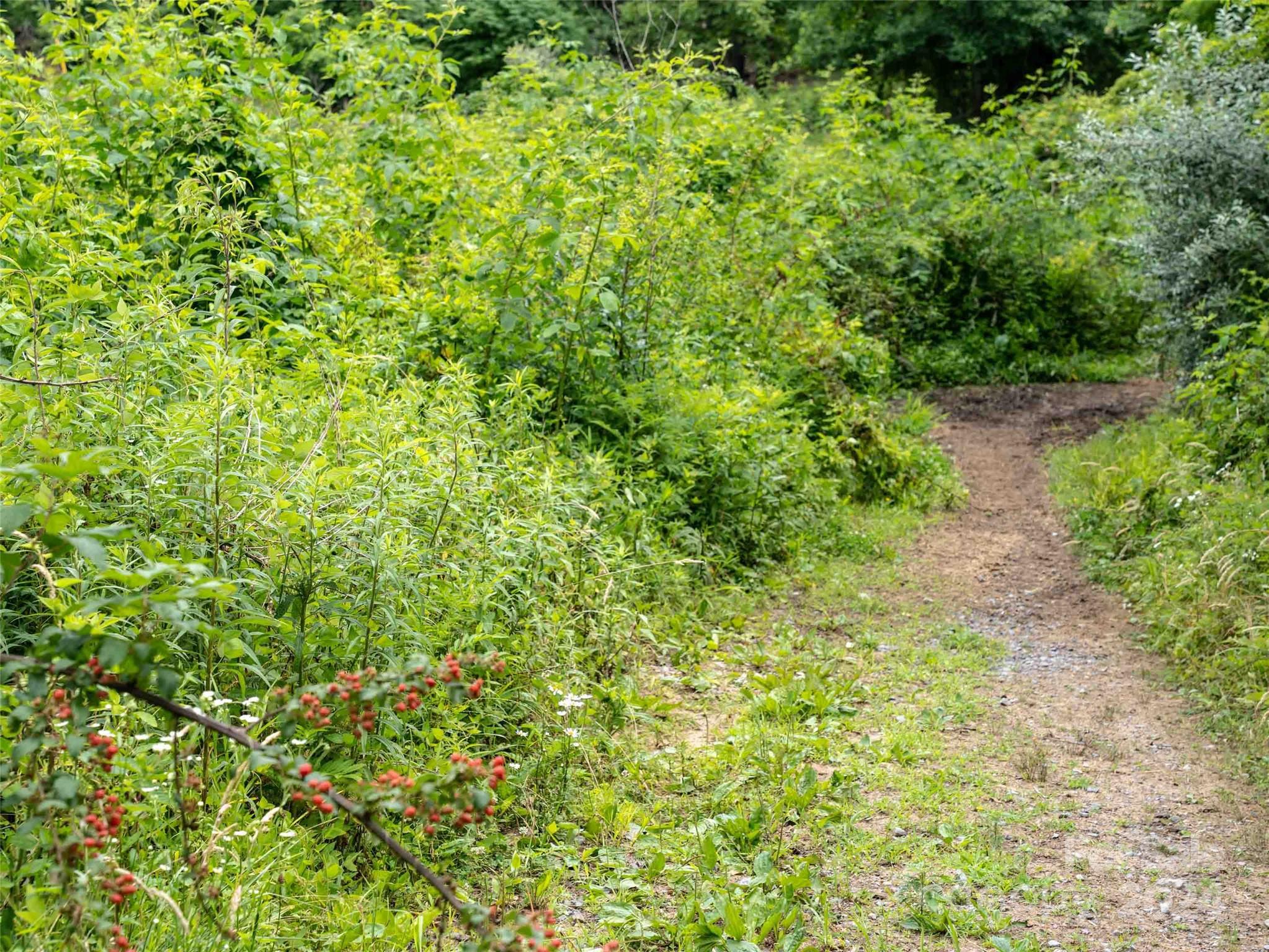 00 Waterwheel Cove Property Photo 9