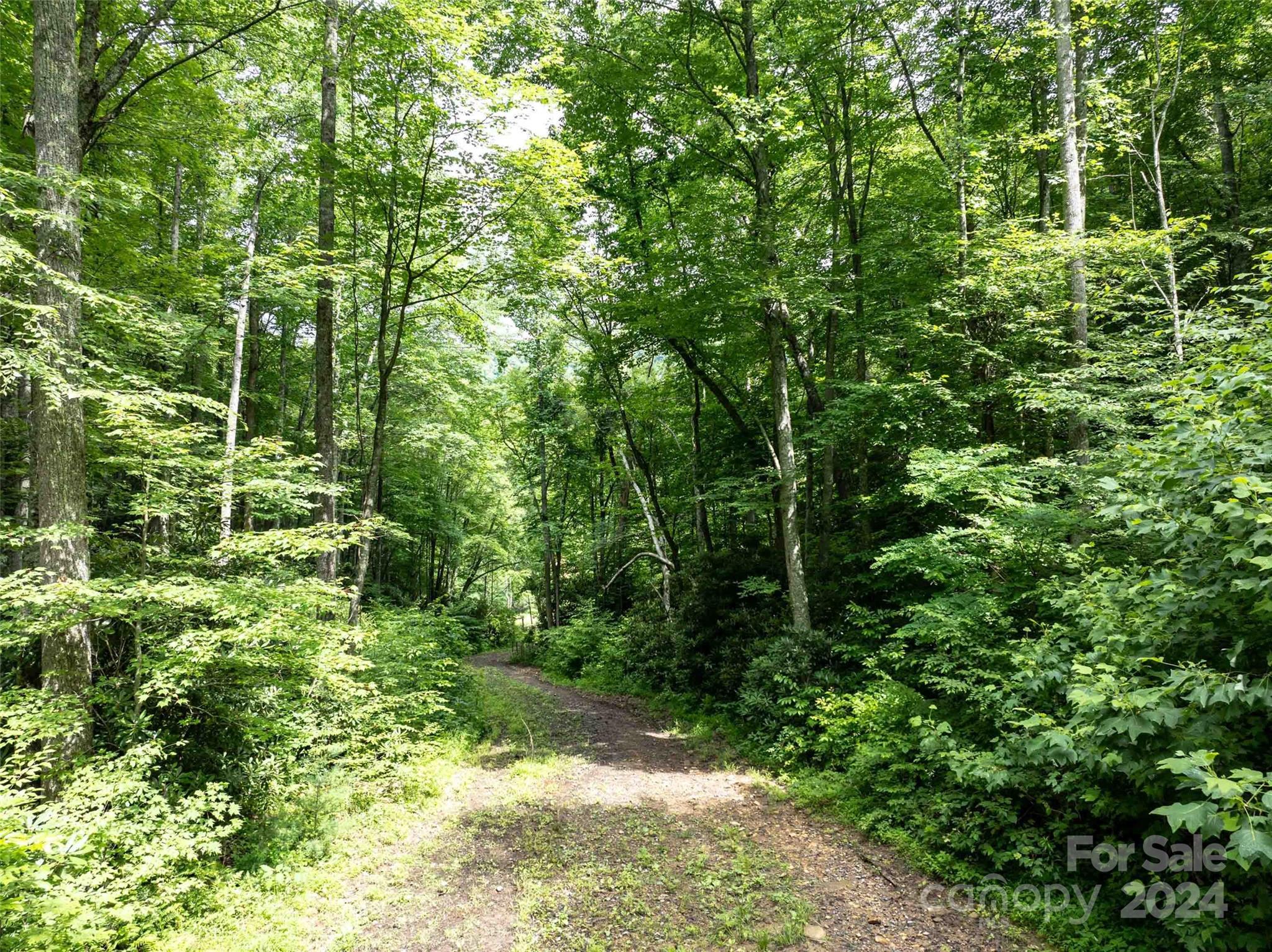 00 Waterwheel Cove Property Photo 16