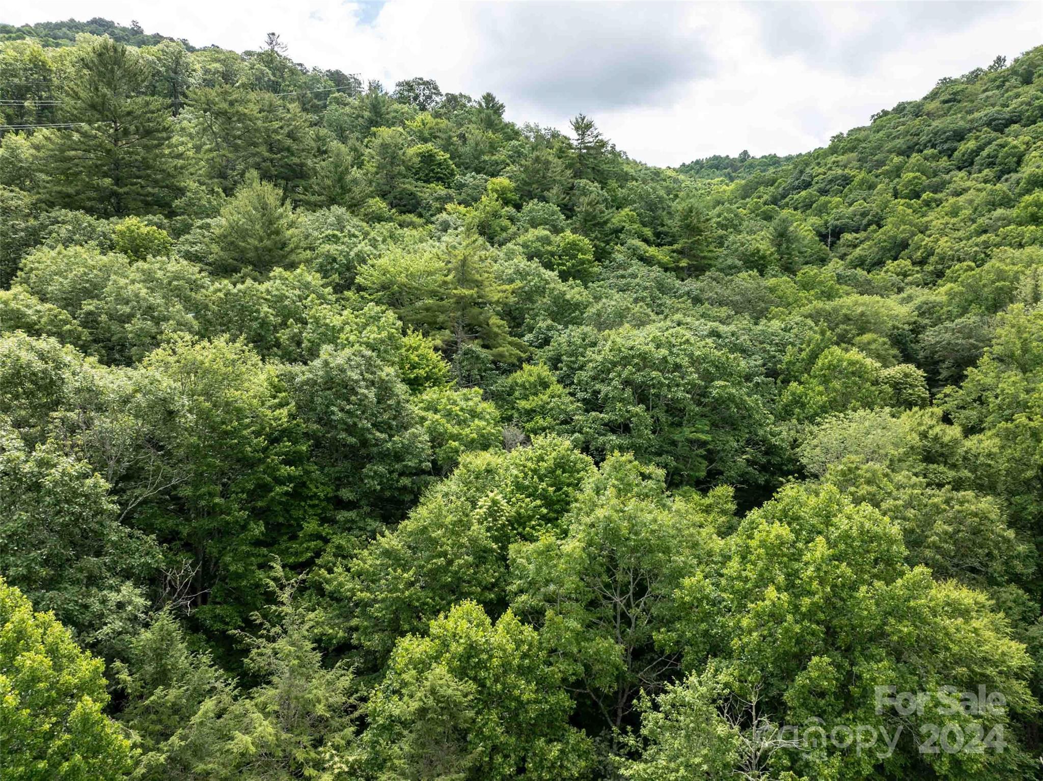 00 Waterwheel Cove Property Photo 17
