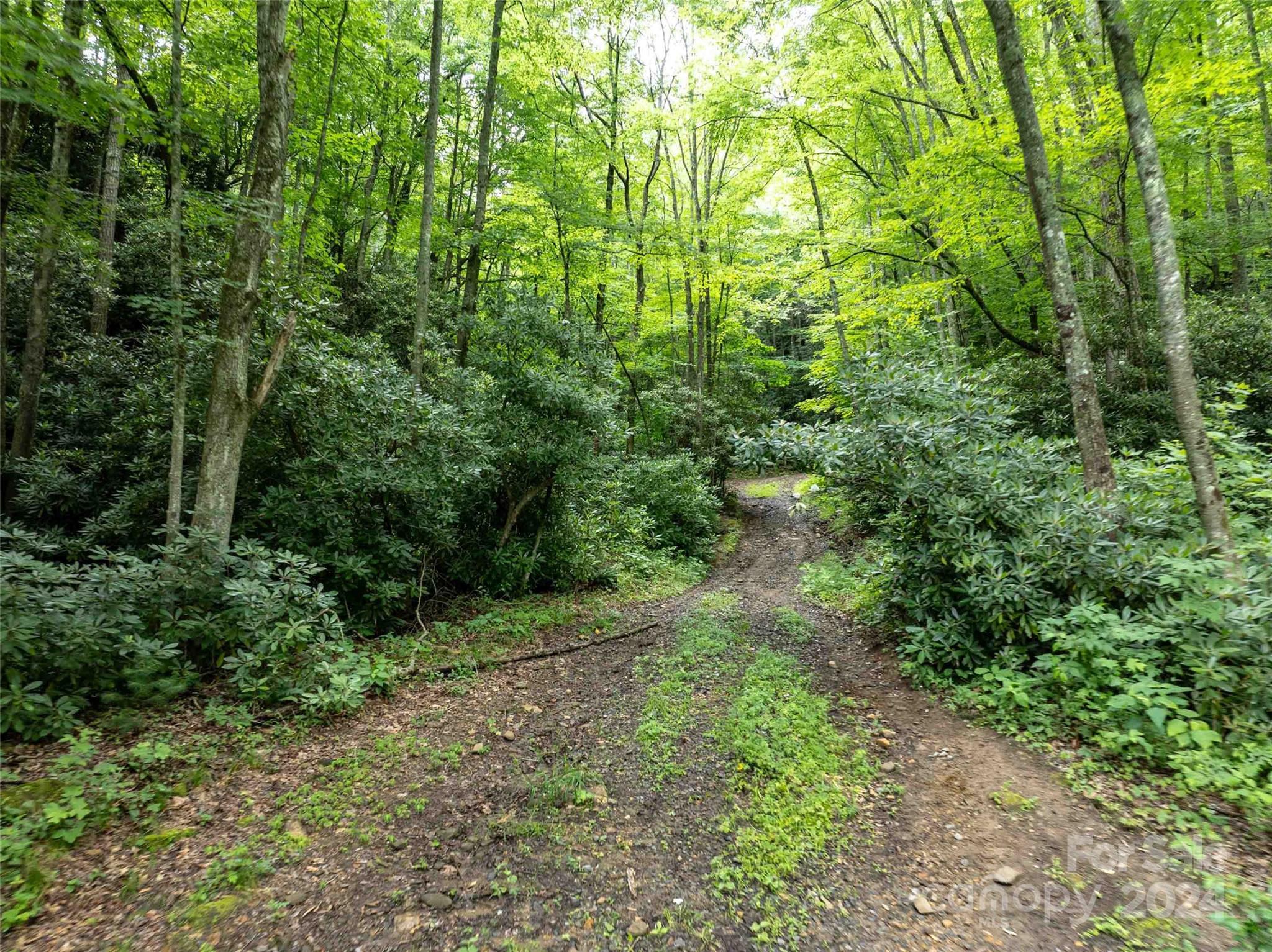 00 Waterwheel Cove Property Photo 19