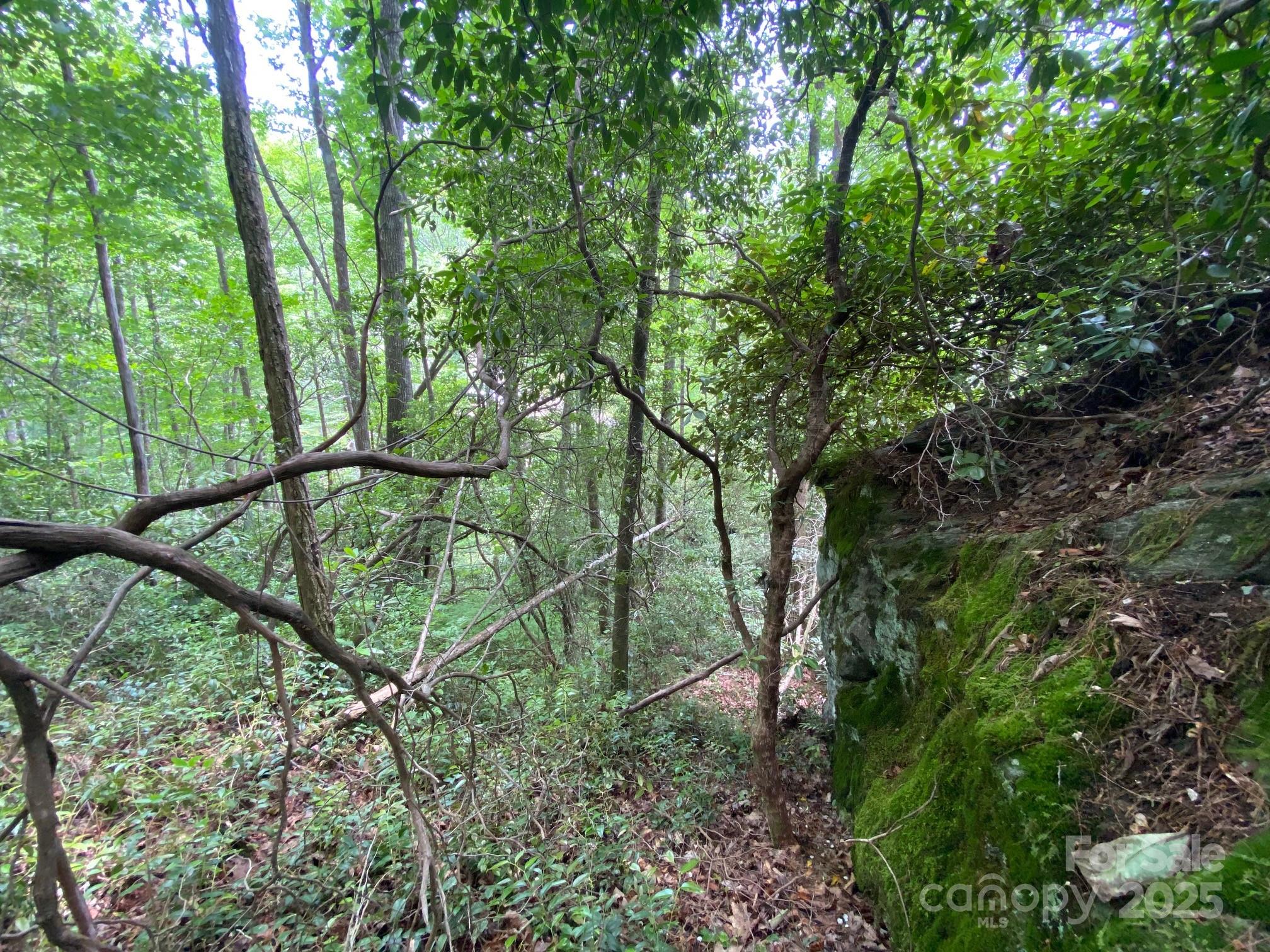115 Hickory Drive Property Photo 15