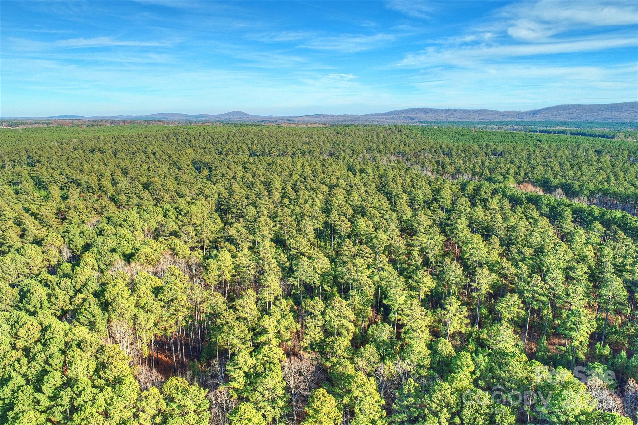 13290 Nc 8 Highway Property Photo 18
