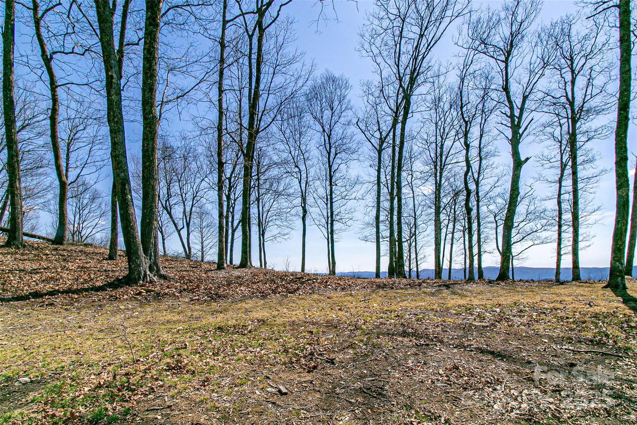 Tbd Rocky Mountain Road Property Photo 23