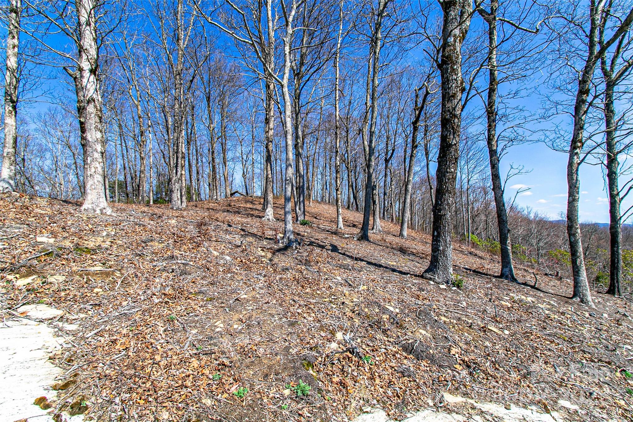 Tbd Rocky Mountain Road Property Photo 26