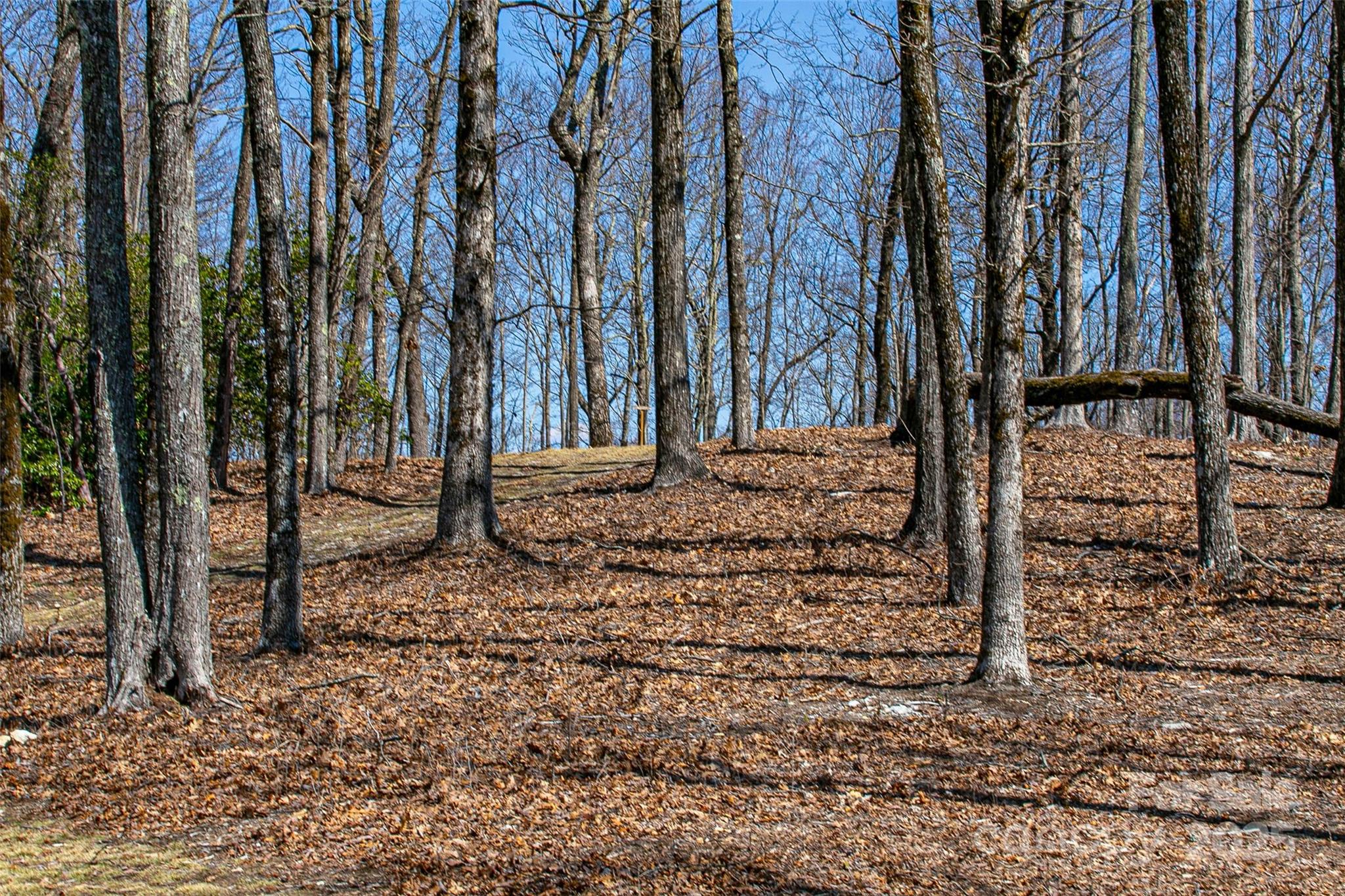 Tbd Rocky Mountain Road Property Photo 29
