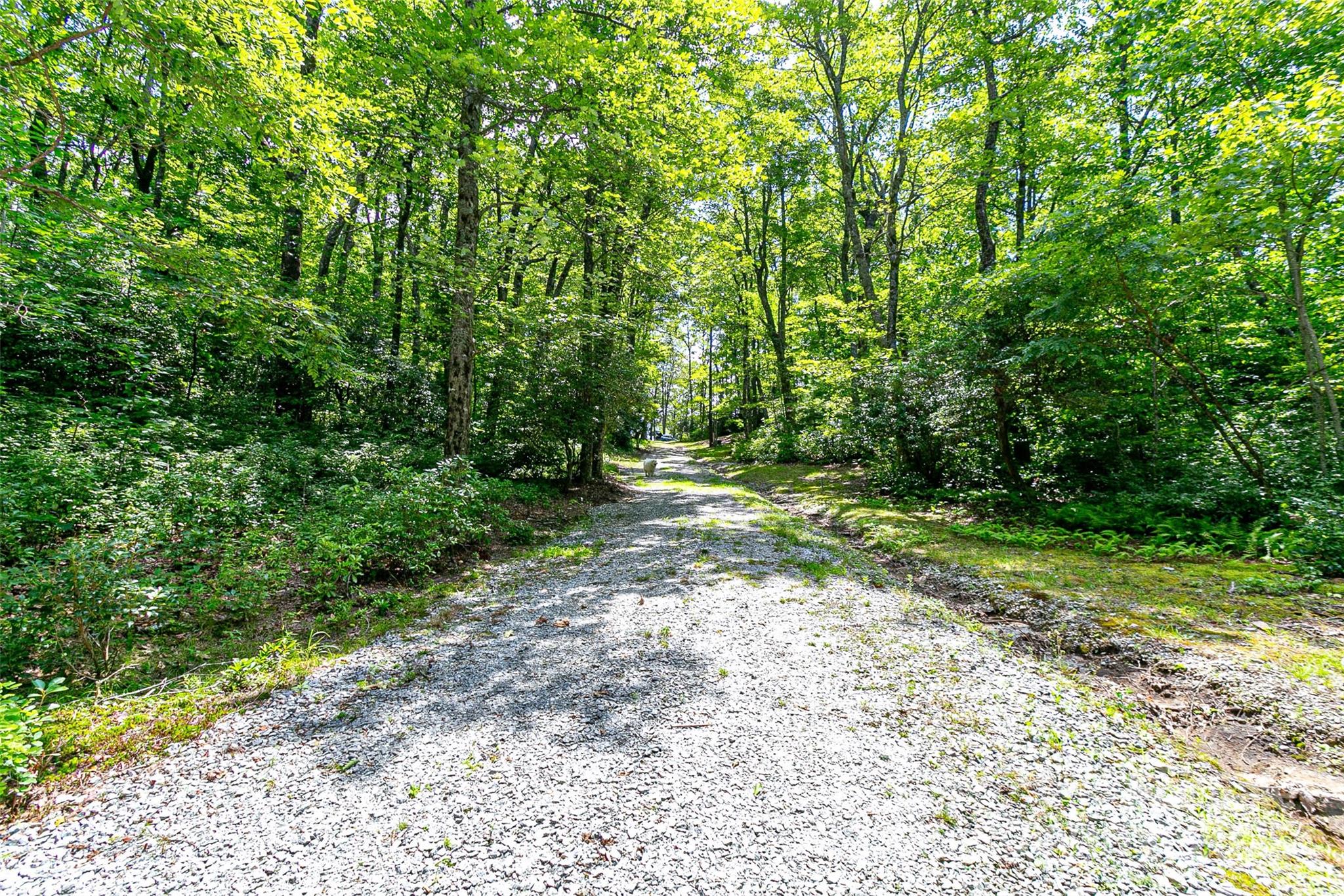 Tbd Rocky Mountain Road Property Photo 39