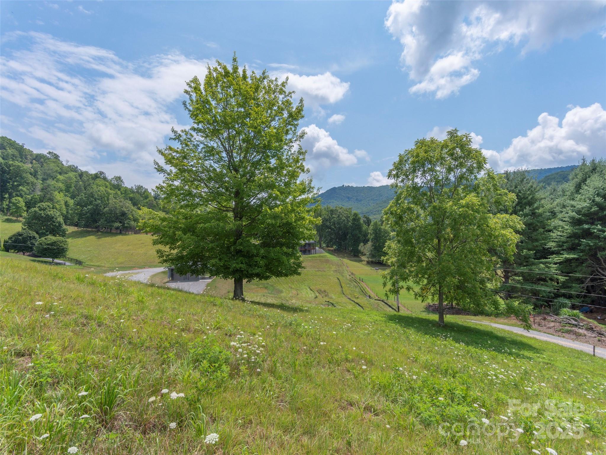 00 Bark Trail Property Photo 8
