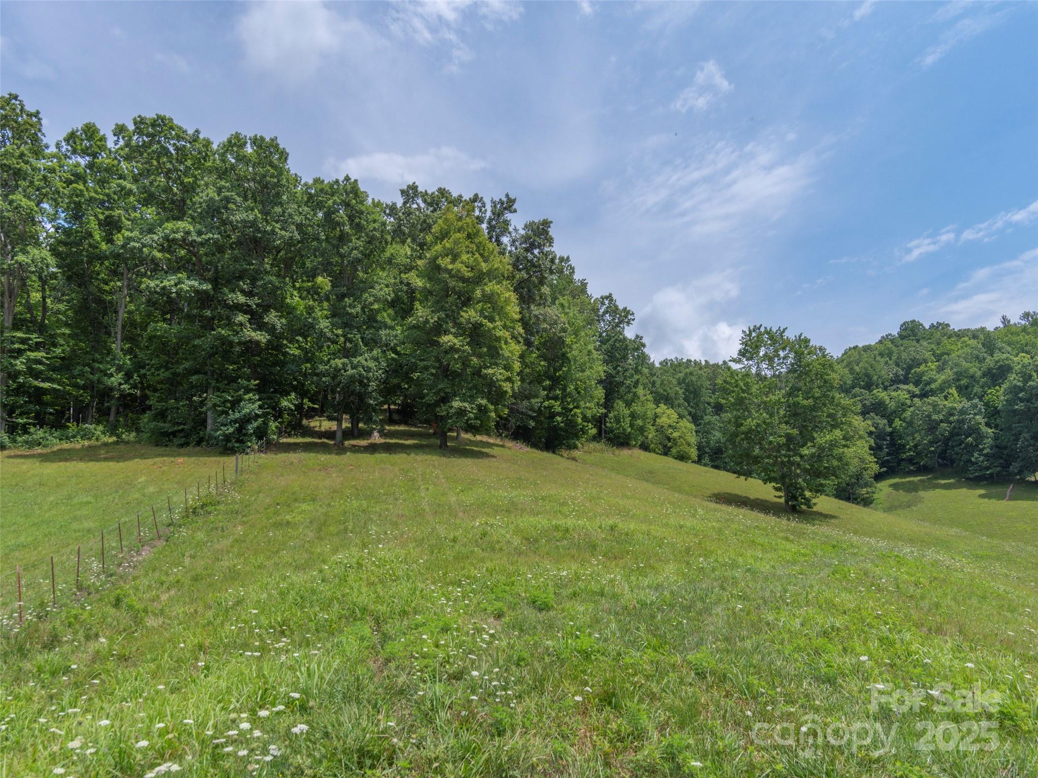 00 Bark Trail Property Photo 11