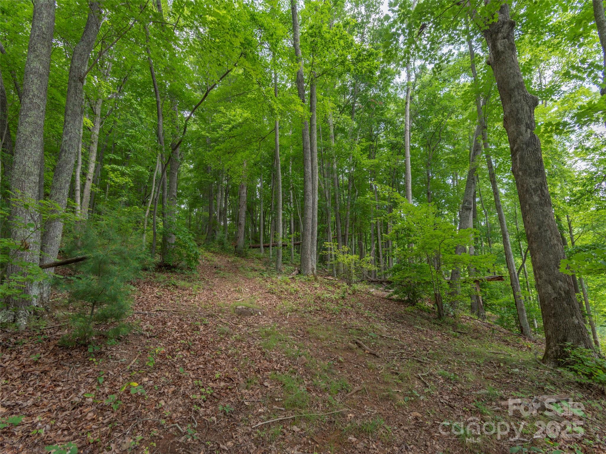 00 Bark Trail Property Photo 13