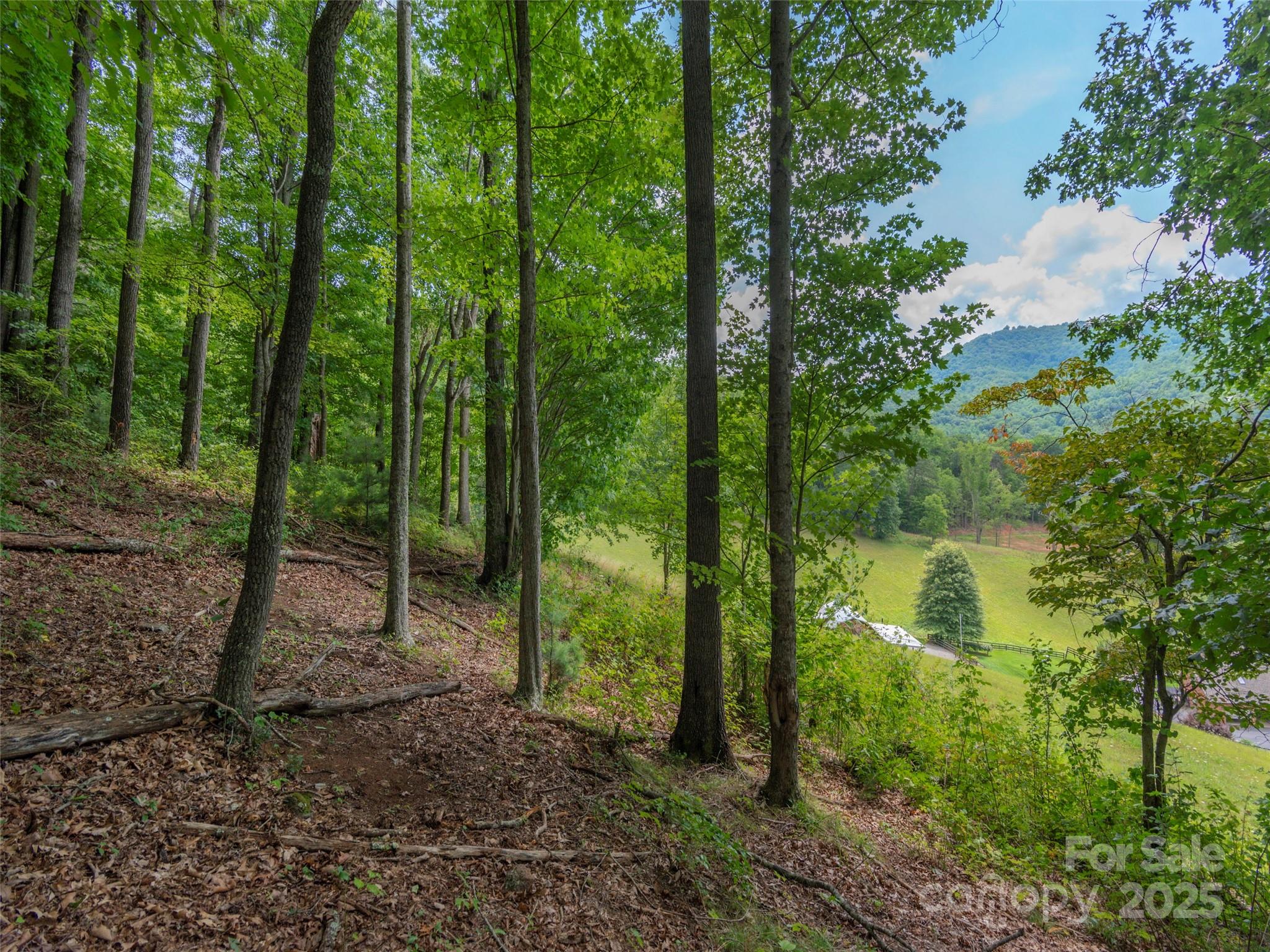 00 Bark Trail Property Photo 14