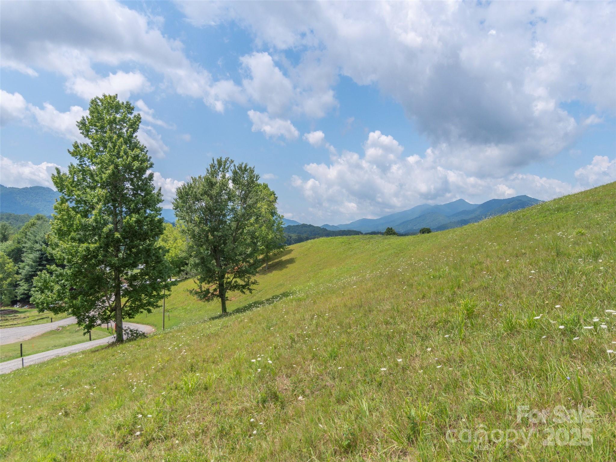 00 Bark Trail Property Photo 22