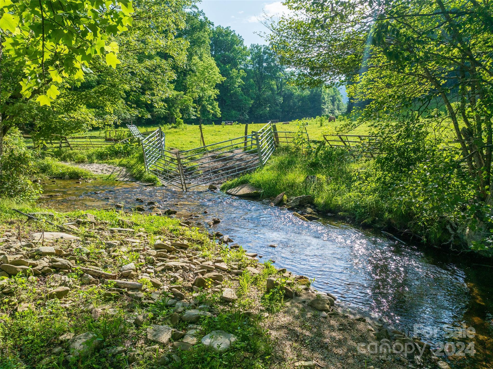 500 Winding Gap Road Property Photo 7