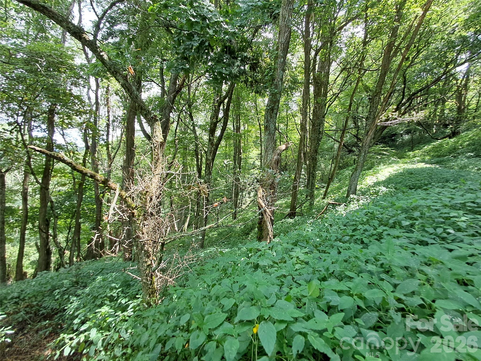 00 Hurricane Ridge Trace 53 Property Photo 3