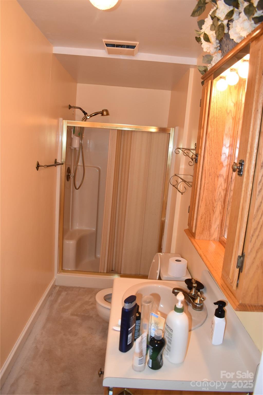 3586 Hwy 70 Road Property Photo 38