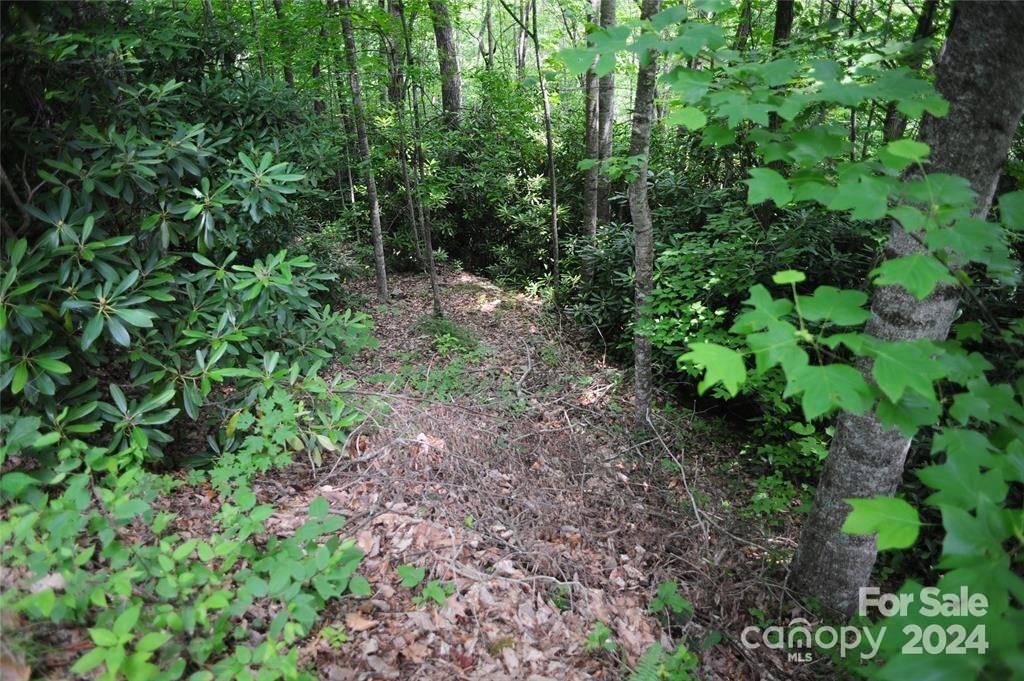 17 Wood Haven Lane 111 Property Photo 3