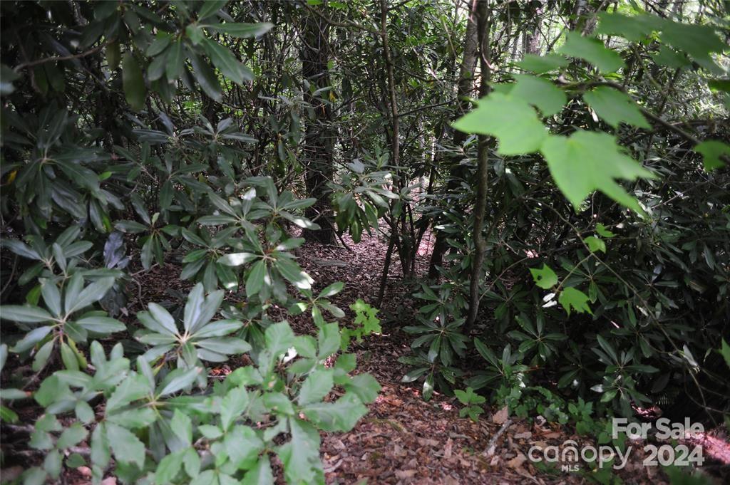 17 Wood Haven Lane 111 Property Photo 4