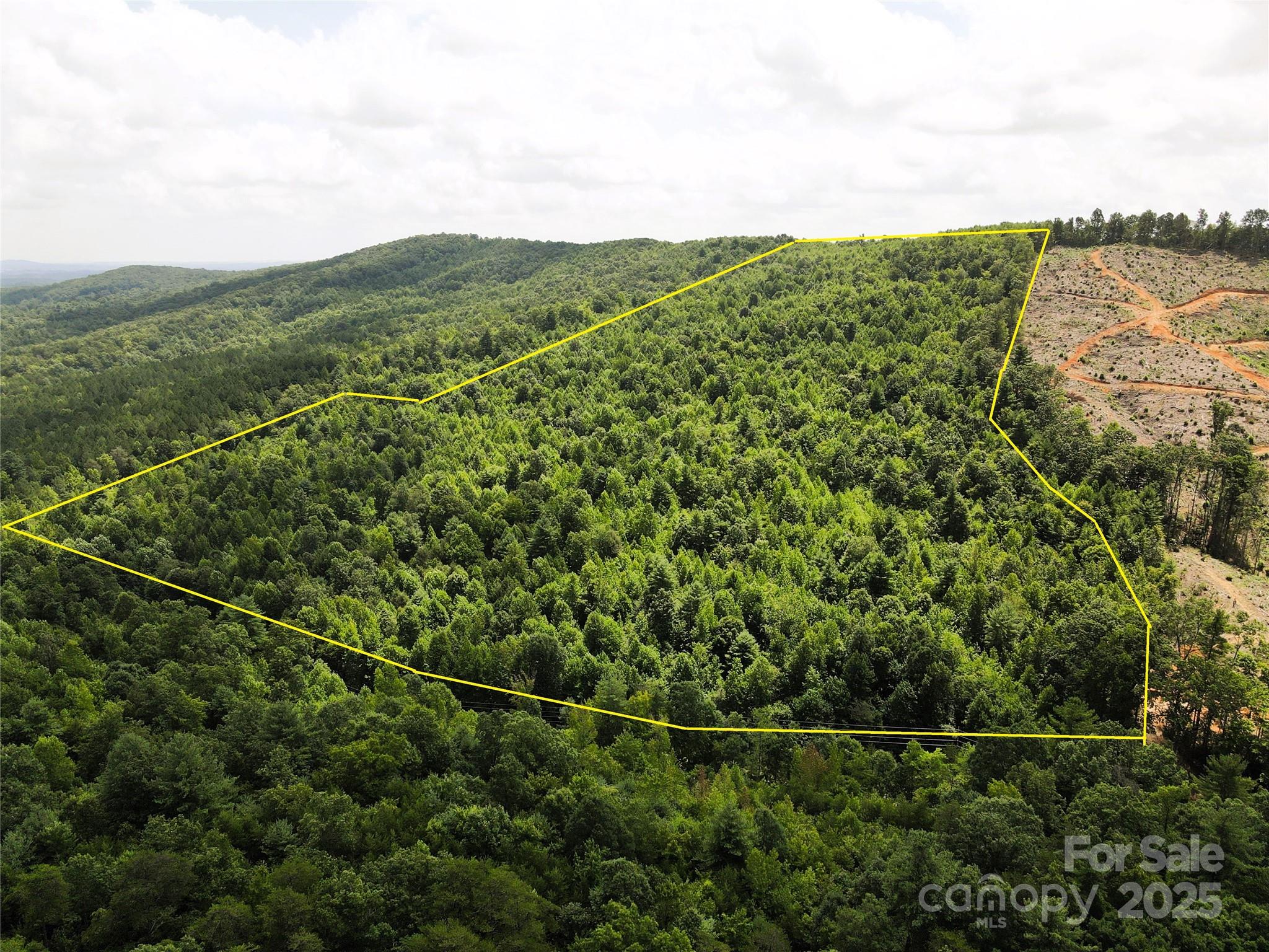 02 Mount Gilead Church Road Property Photo 1
