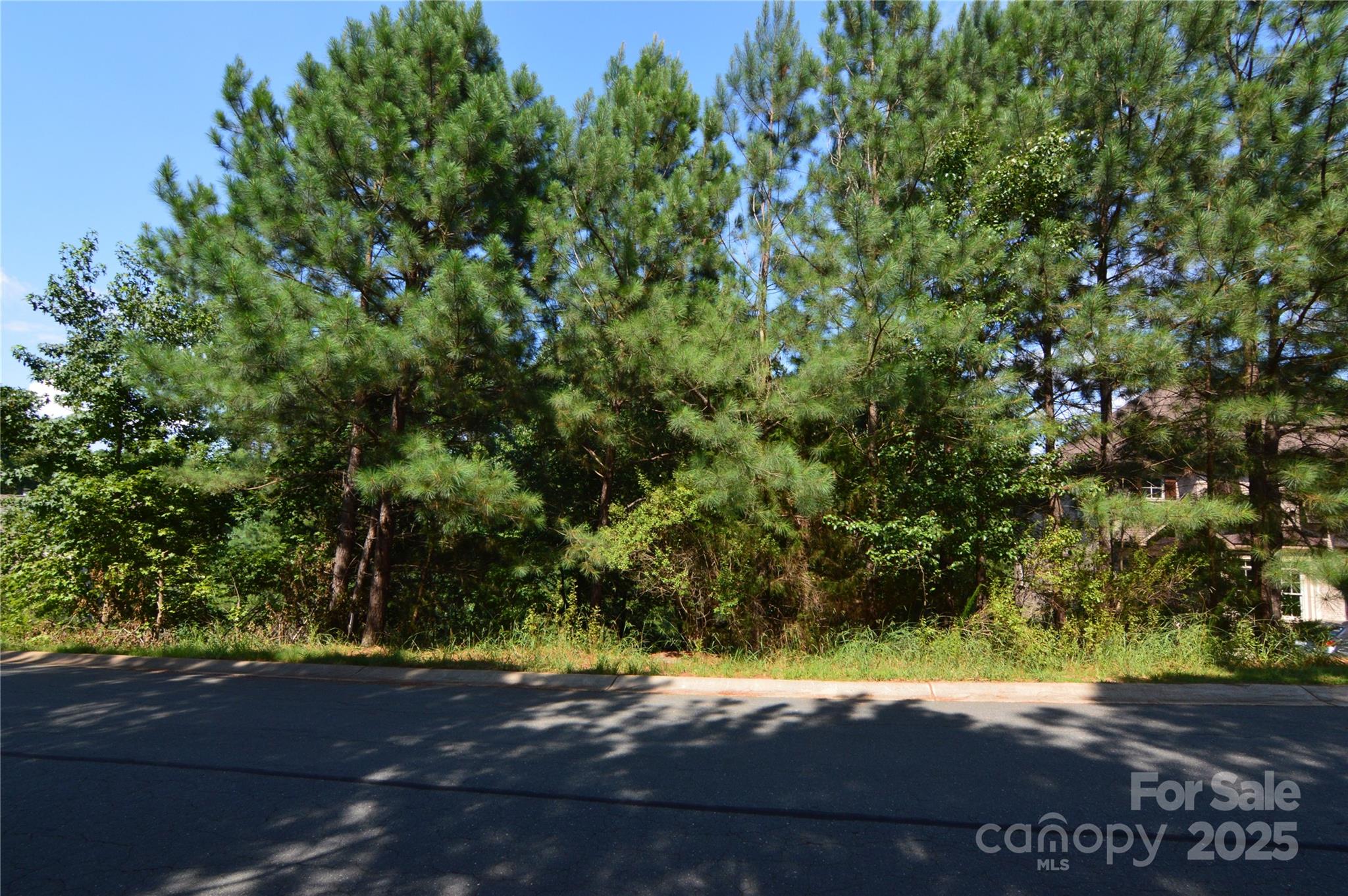 2033 Beauhaven Lane 22 Property Photo 7