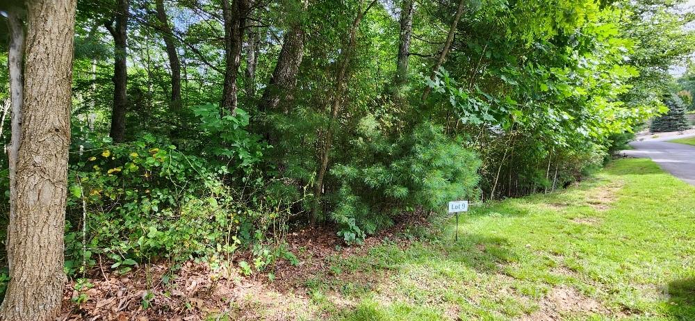 00000 Barebridge Drive 9 Property Photo 1