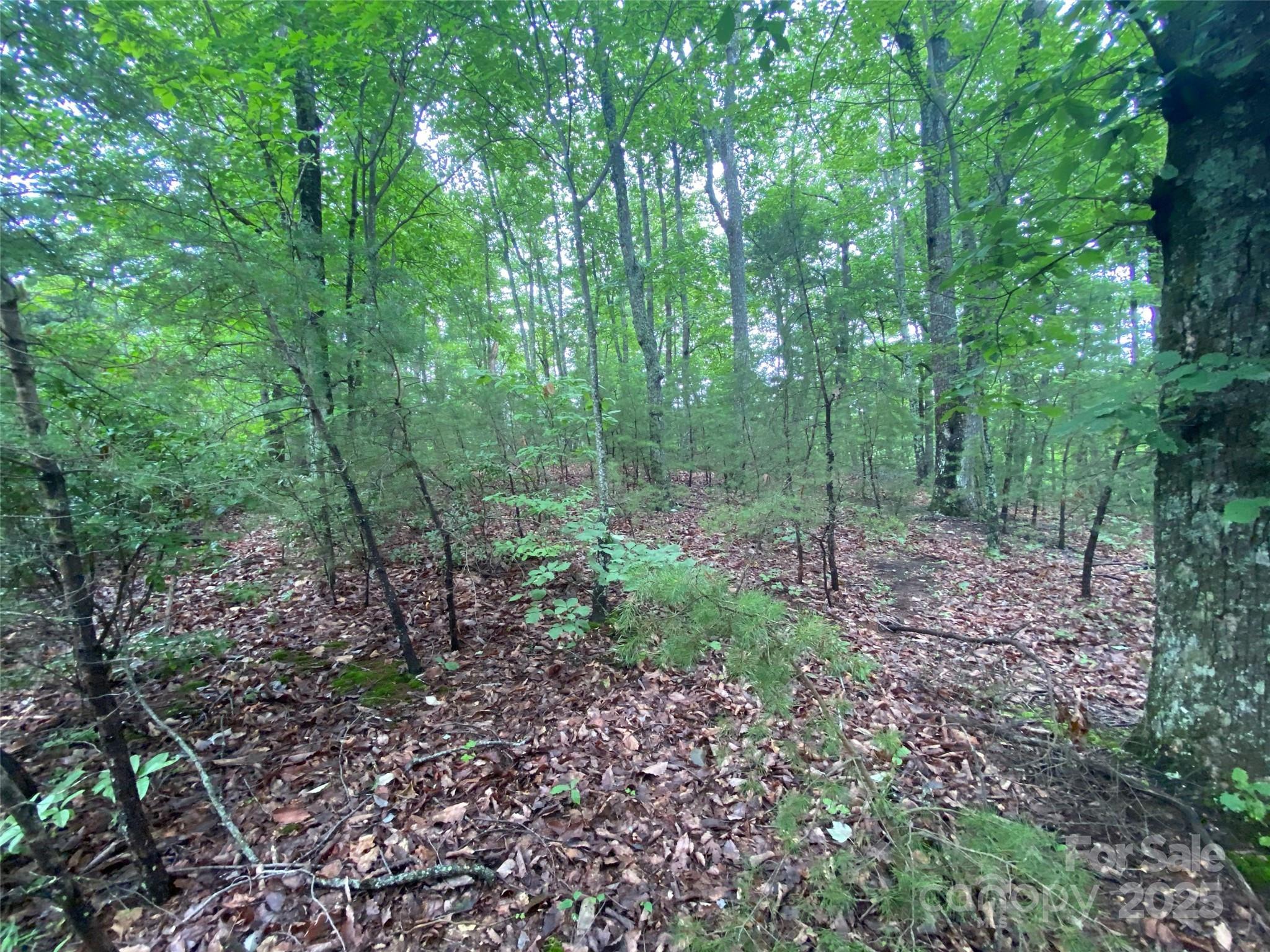 0 Kens Rock Road 20 Property Photo 2