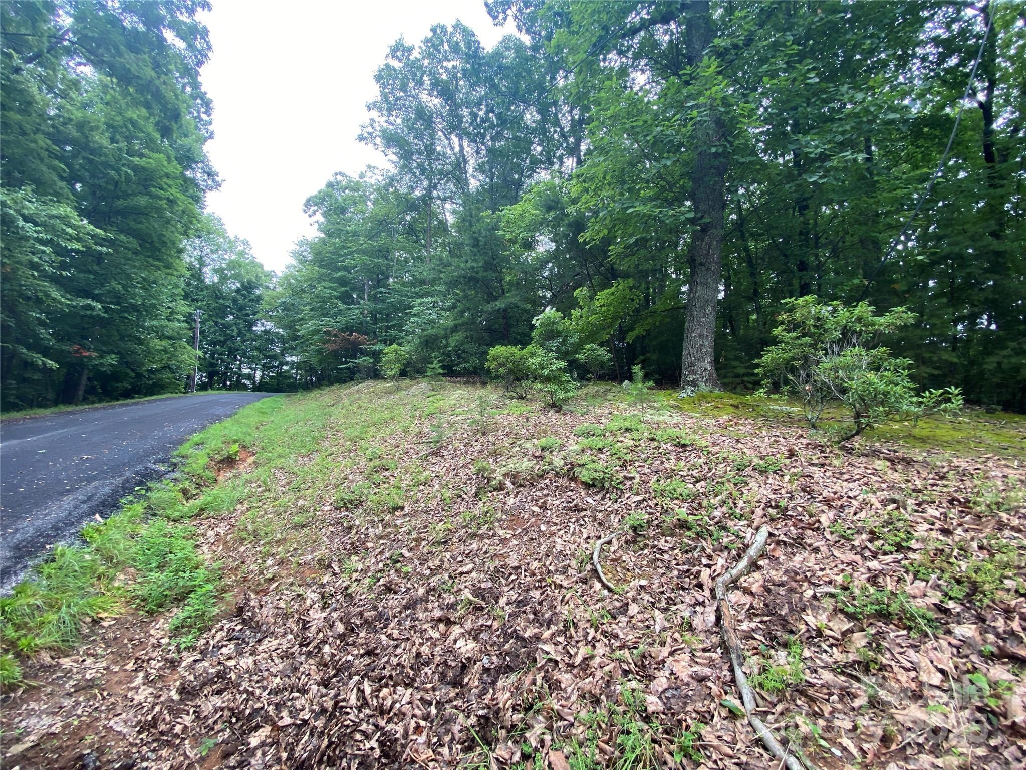 0 Kens Rock Road 20 Property Photo 3