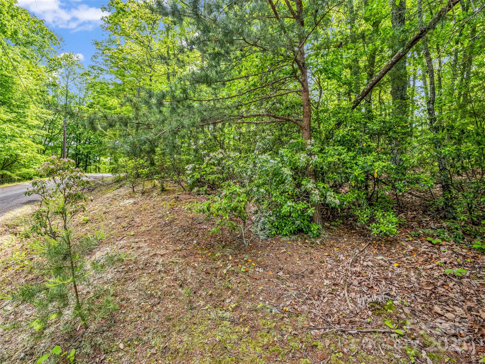 0 Kens Rock Road 20 Property Photo 11