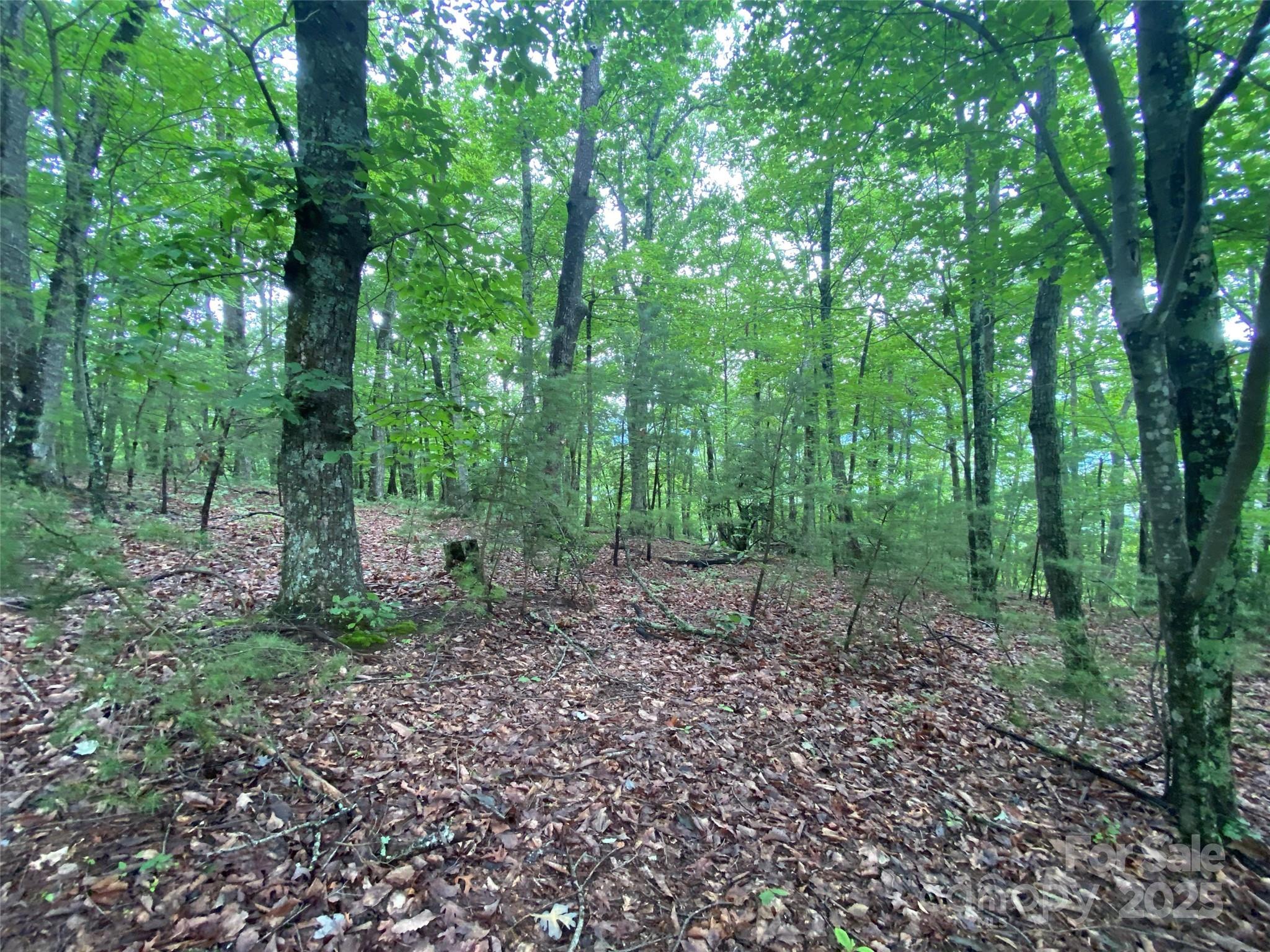 0 Kens Rock Road 20 Property Photo 13